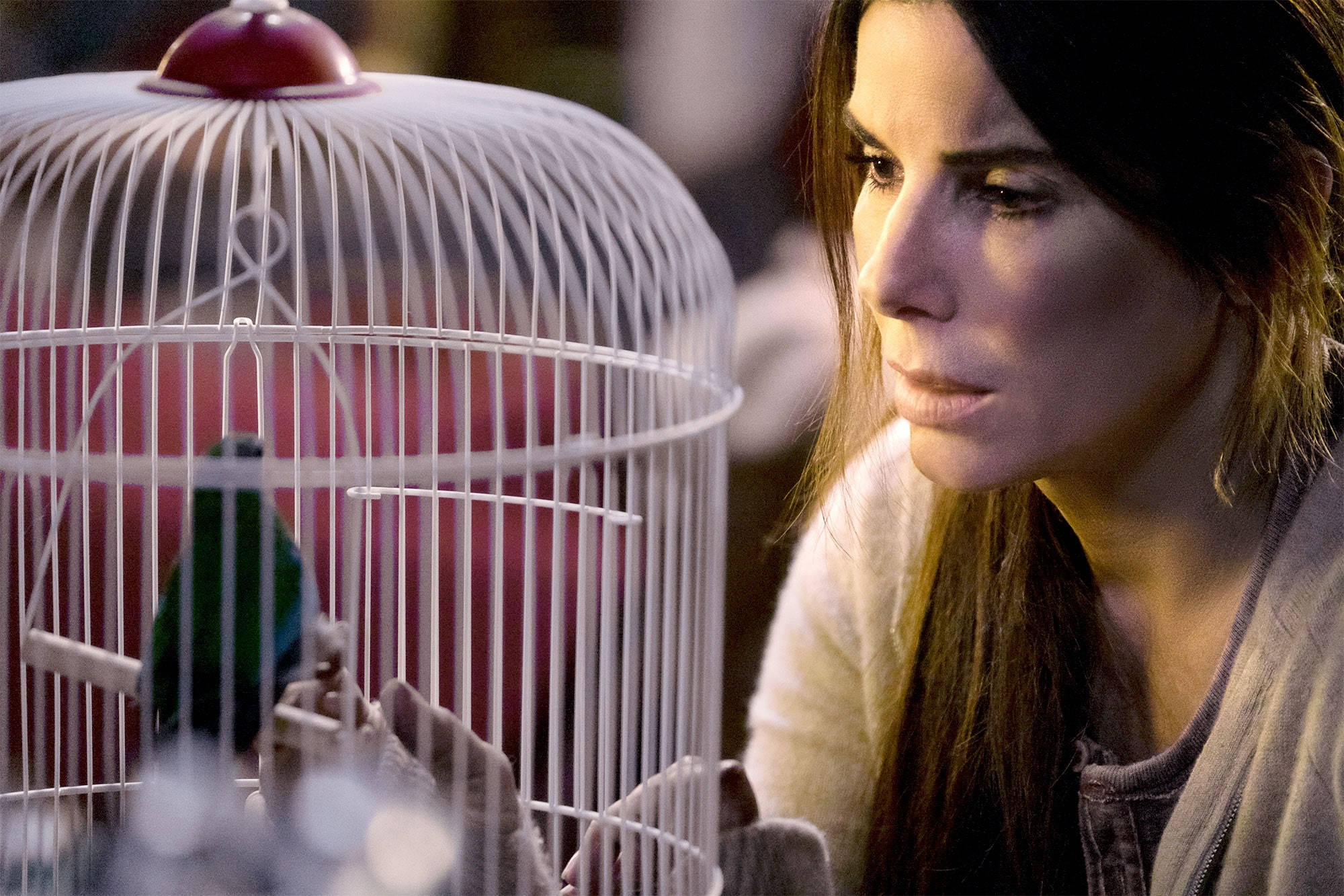 Sandra Bullock, bird cage, green bird, Full HD Desktop Wallpaper