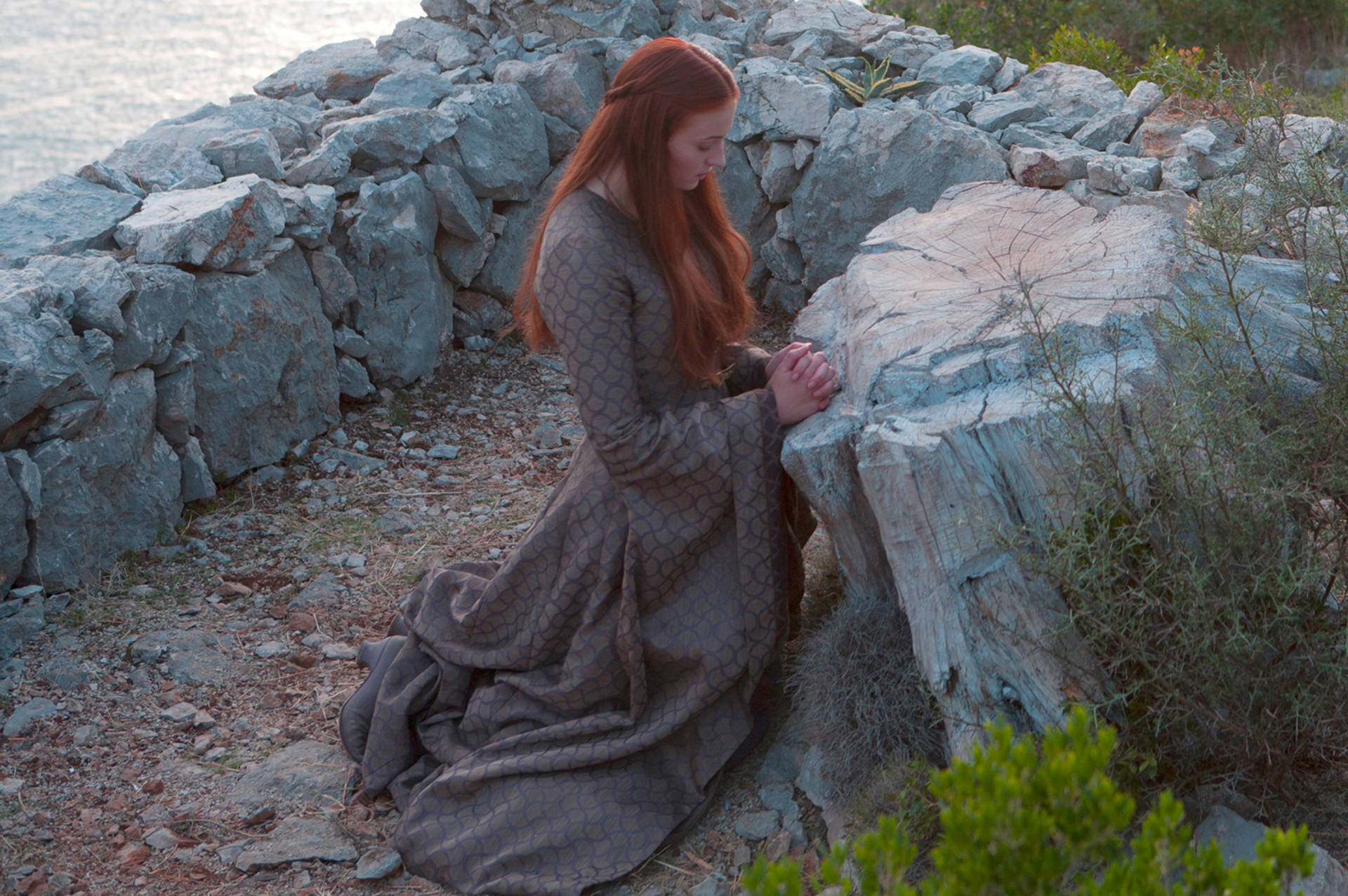 Sansa Stark, red hair, tree stump, Full HD Desktop Wallpaper