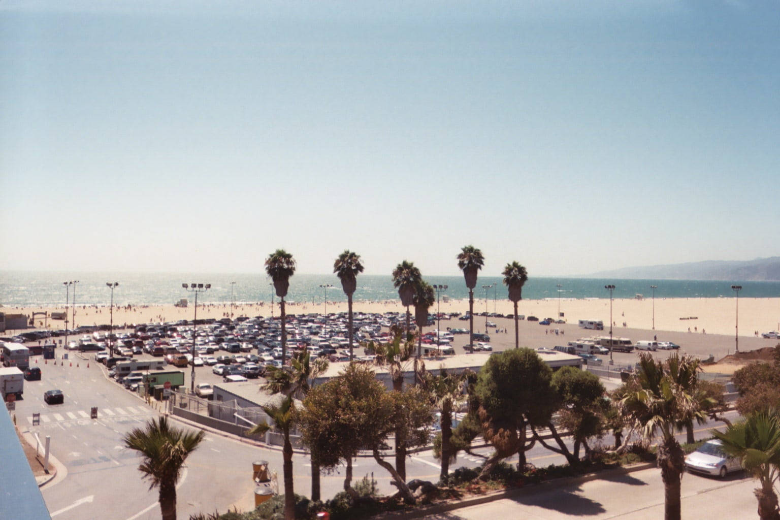 Santa Monica, Santa Monica Beach, palm trees, HD Desktop Wallpaper
