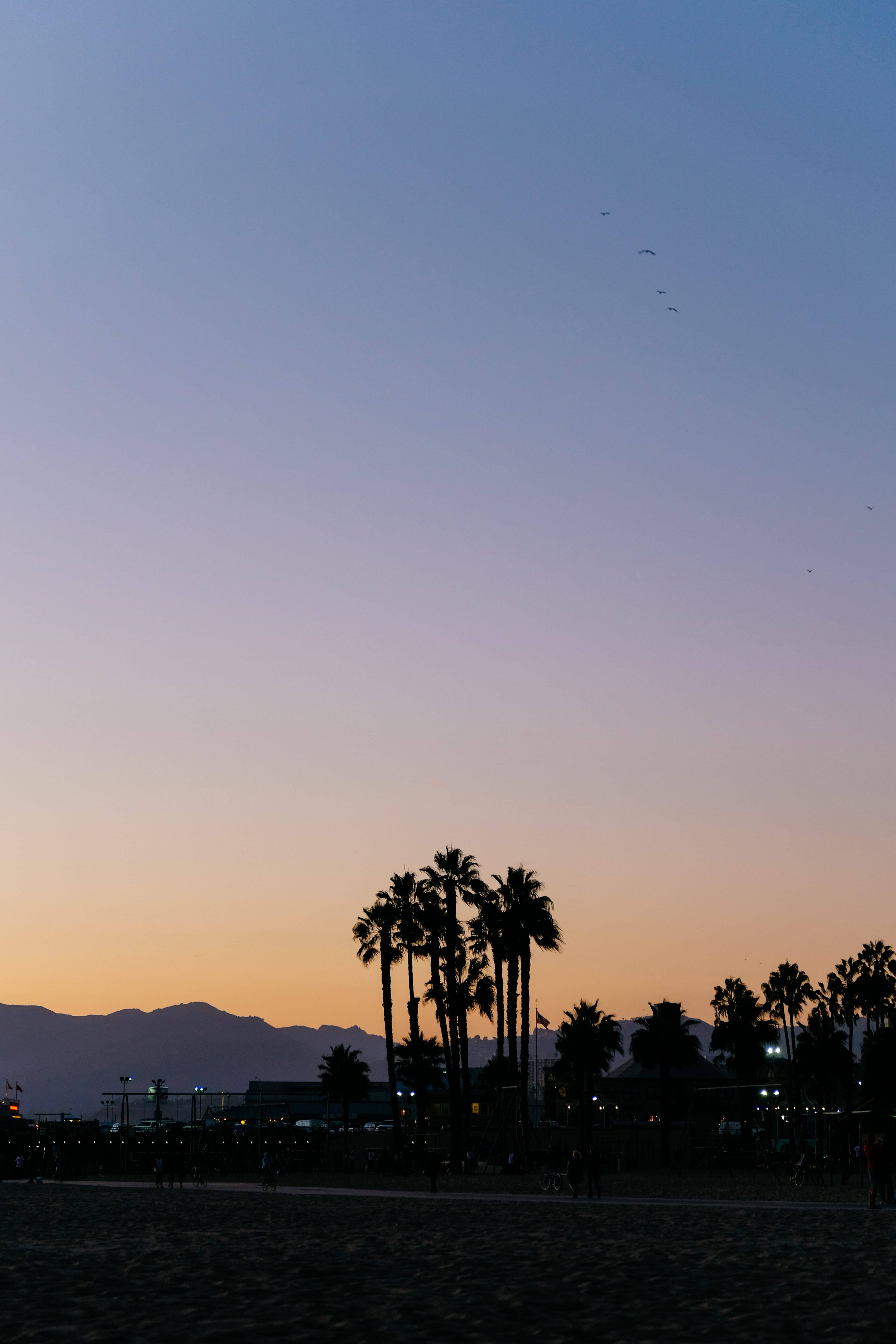 Santa Monica, twilight sky, palm trees, 5K Phone Wallpaper
