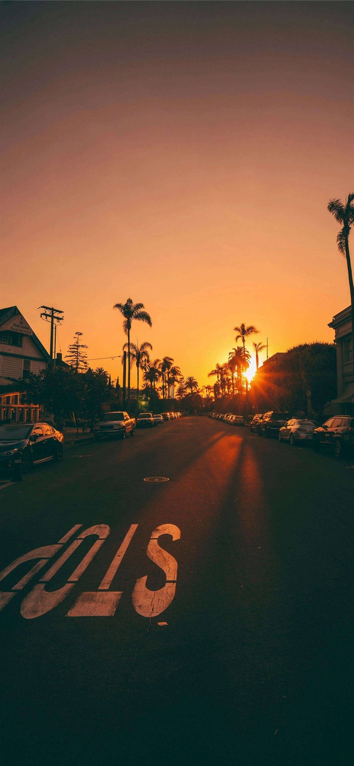 Santa Monica, Sunset Road, palm trees, Full HD Phone Wallpaper