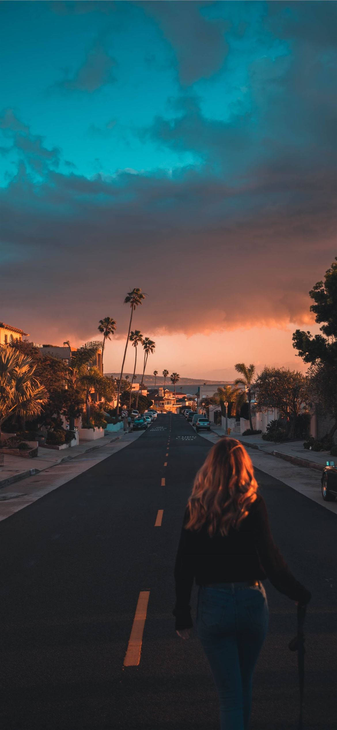 Santa Monica, palm-lined street, dramatic sunset, Full HD Phone Wallpaper