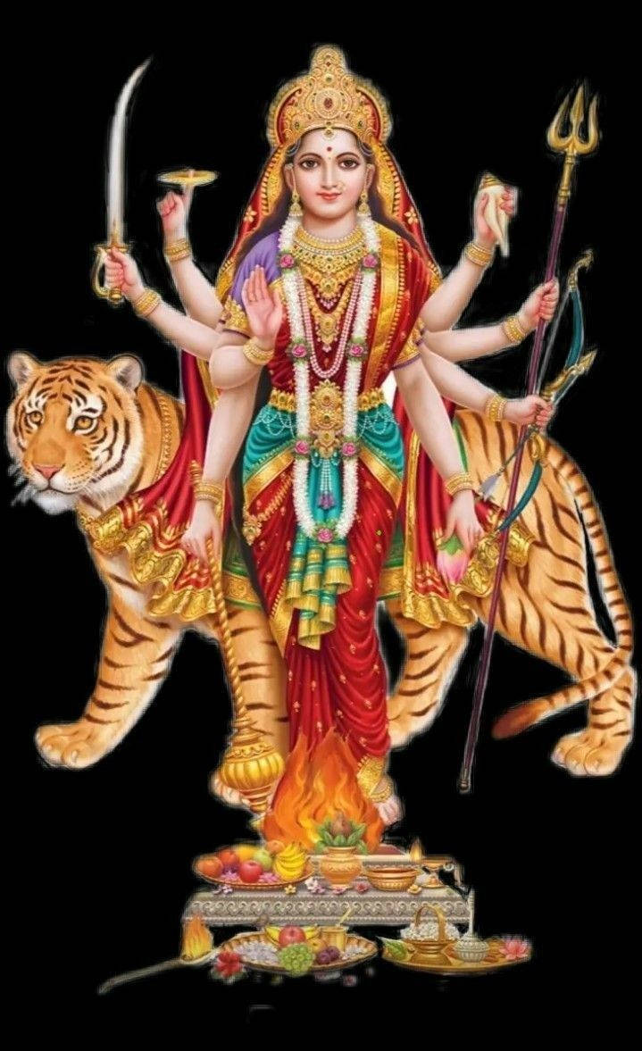 Santoshi Maa, goddess, tiger, SD Phone Wallpaper