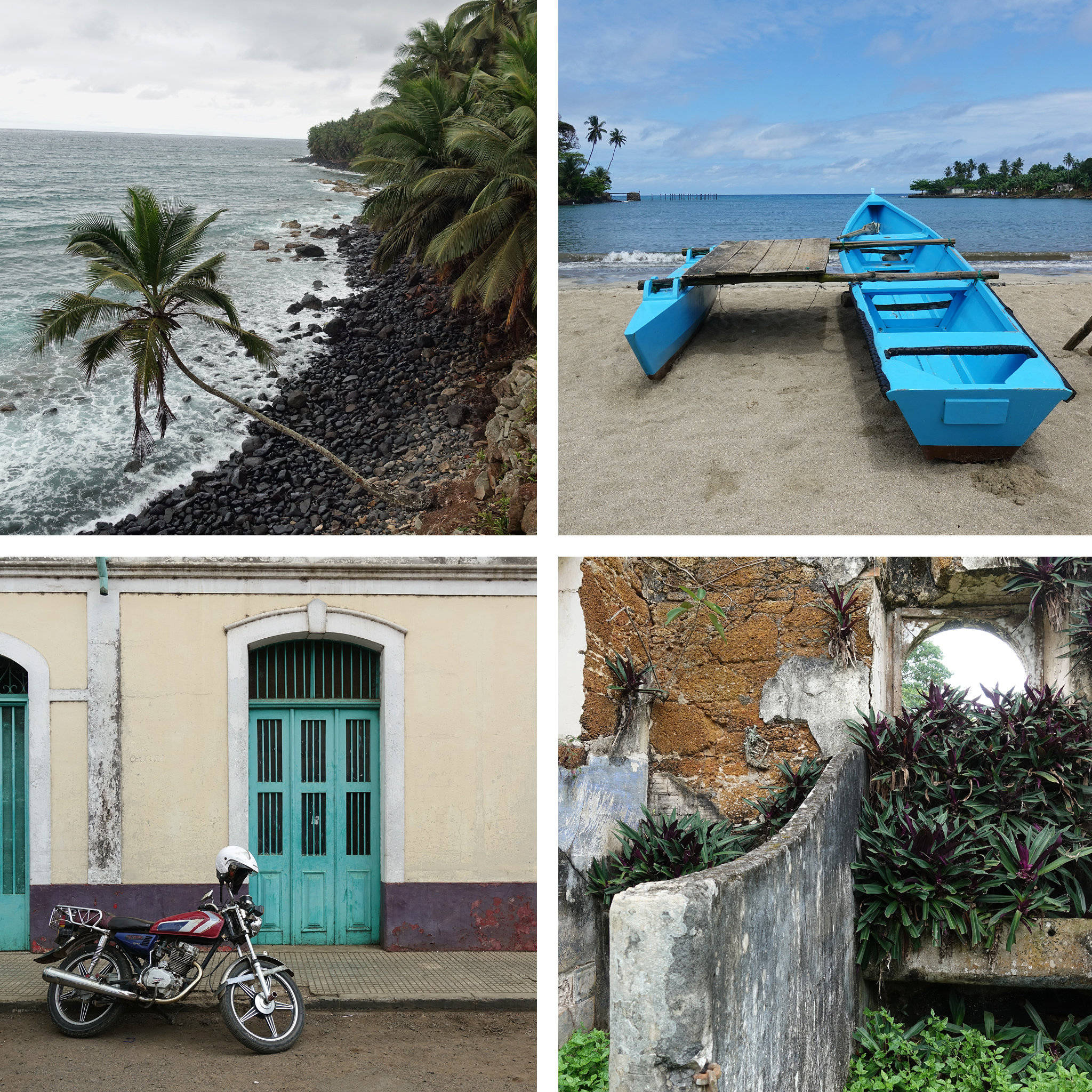 Sao Tome And Principe, palm tree, rocky shore, Full HD Desktop Wallpaper