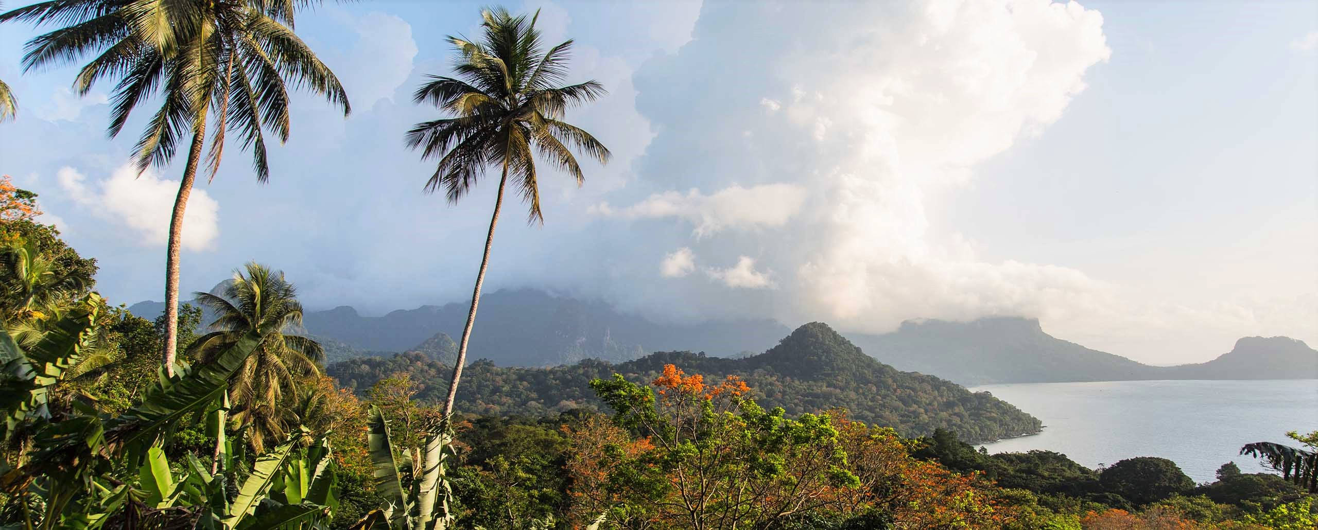 Sao Tome And Principe, palm trees, tropical valley, 2K Desktop Wallpaper