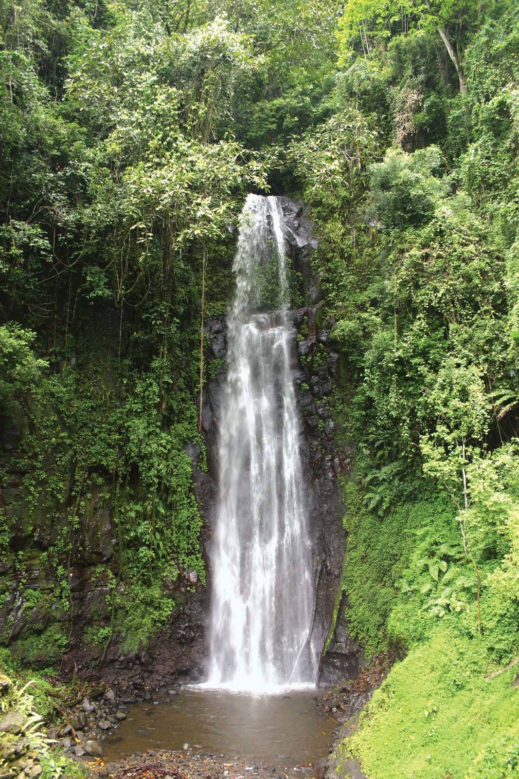 Sao Tome And Principe, waterfalls, emerald jungle foliage, HD Phone Wallpaper
