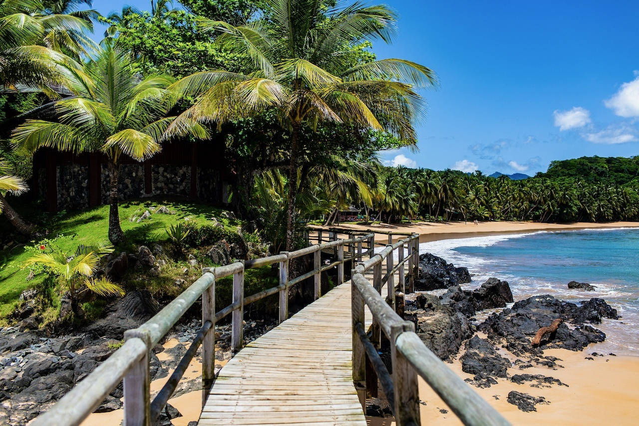 wooden bridge, Sao Tome And Principe, palm trees, HD Desktop Wallpaper