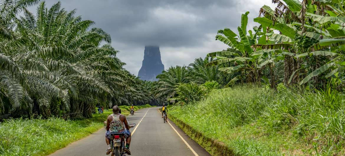 Sao Tome And Principe, paved road, lush green palm trees, SD Desktop Wallpaper