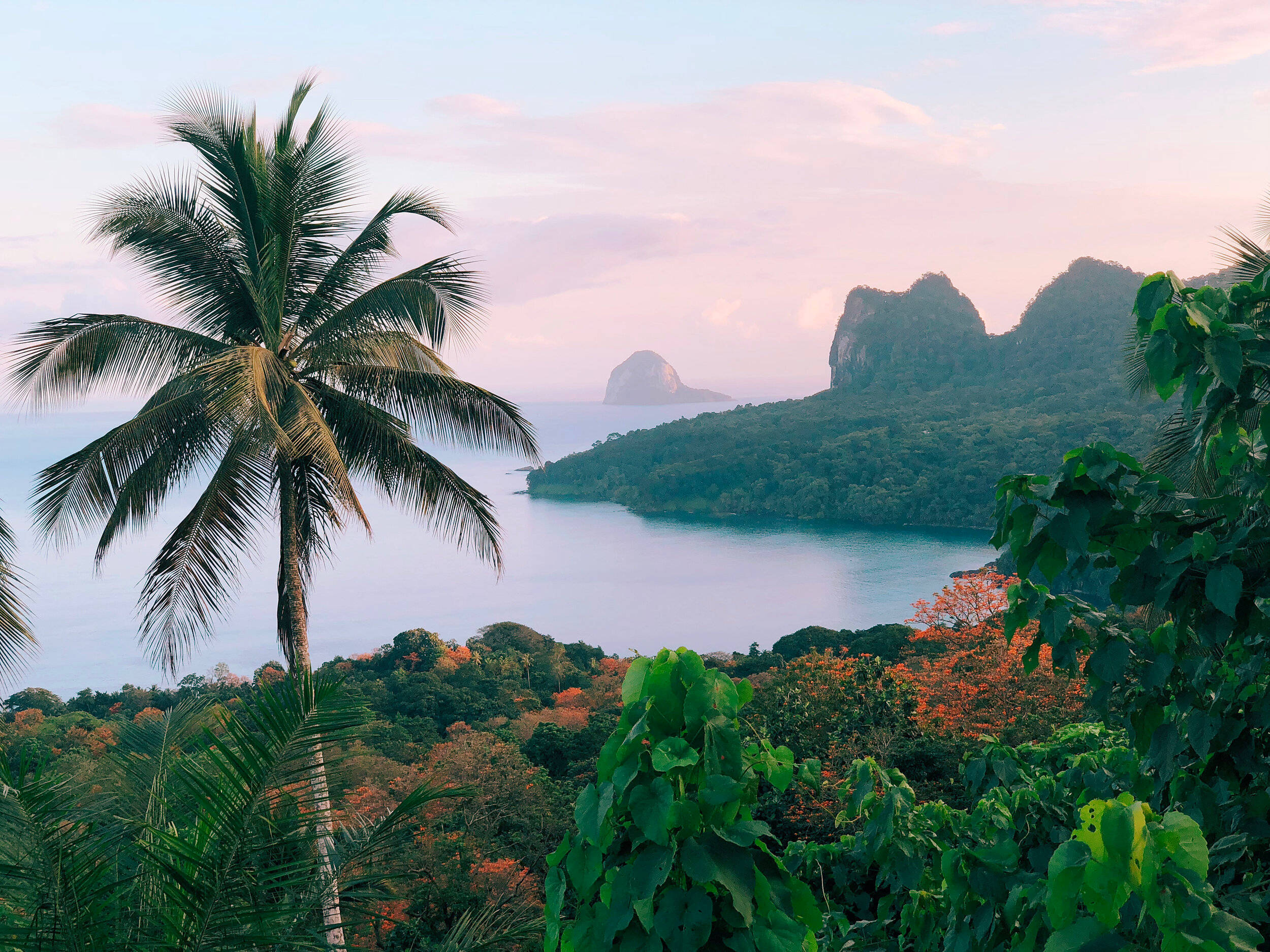 Sao Tome And Principe, palm tree, tropical bay, Full HD Desktop Wallpaper