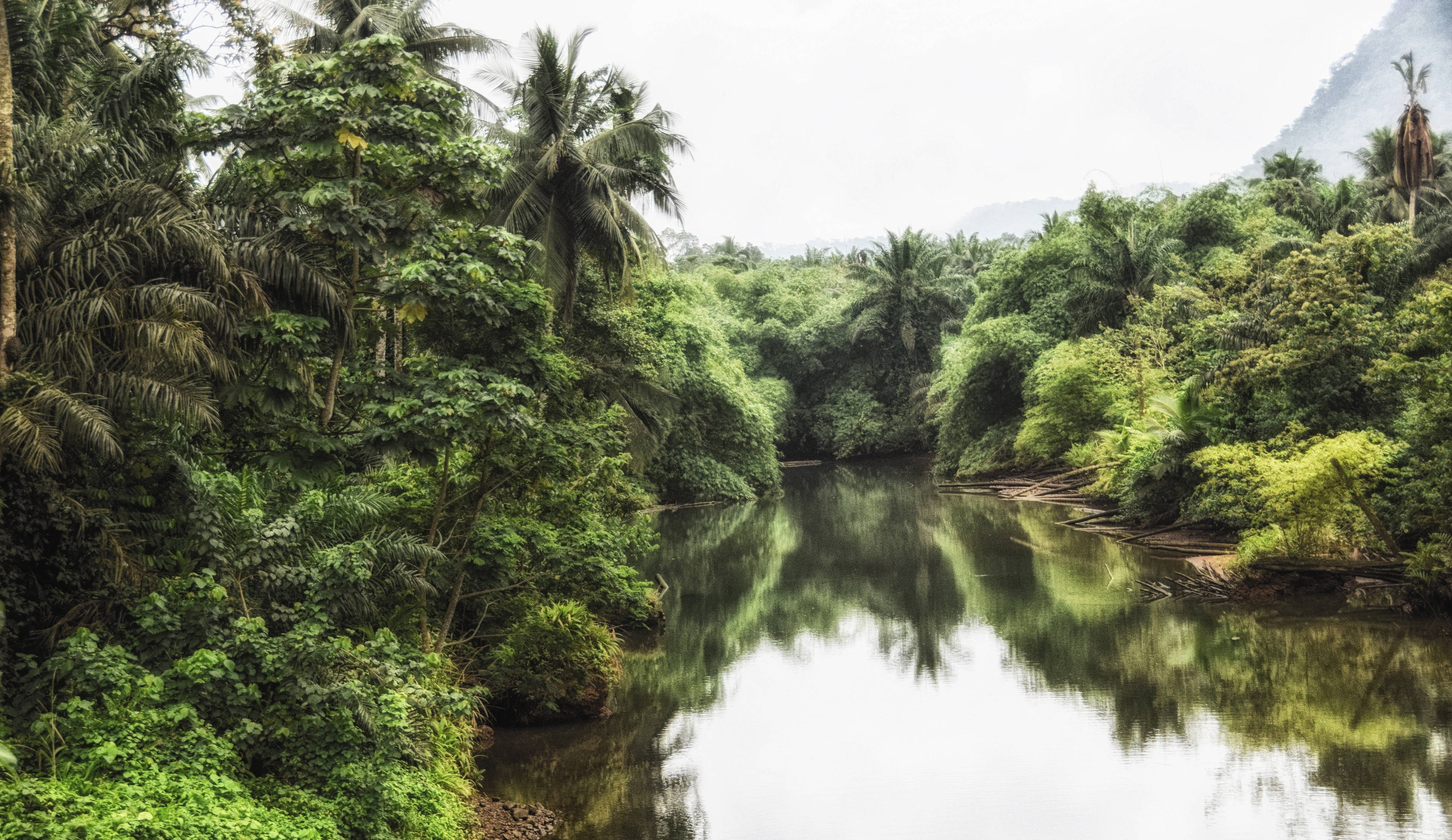 Sao Tome And Principe, forest lake, tropical jungle, 4K Desktop Wallpaper