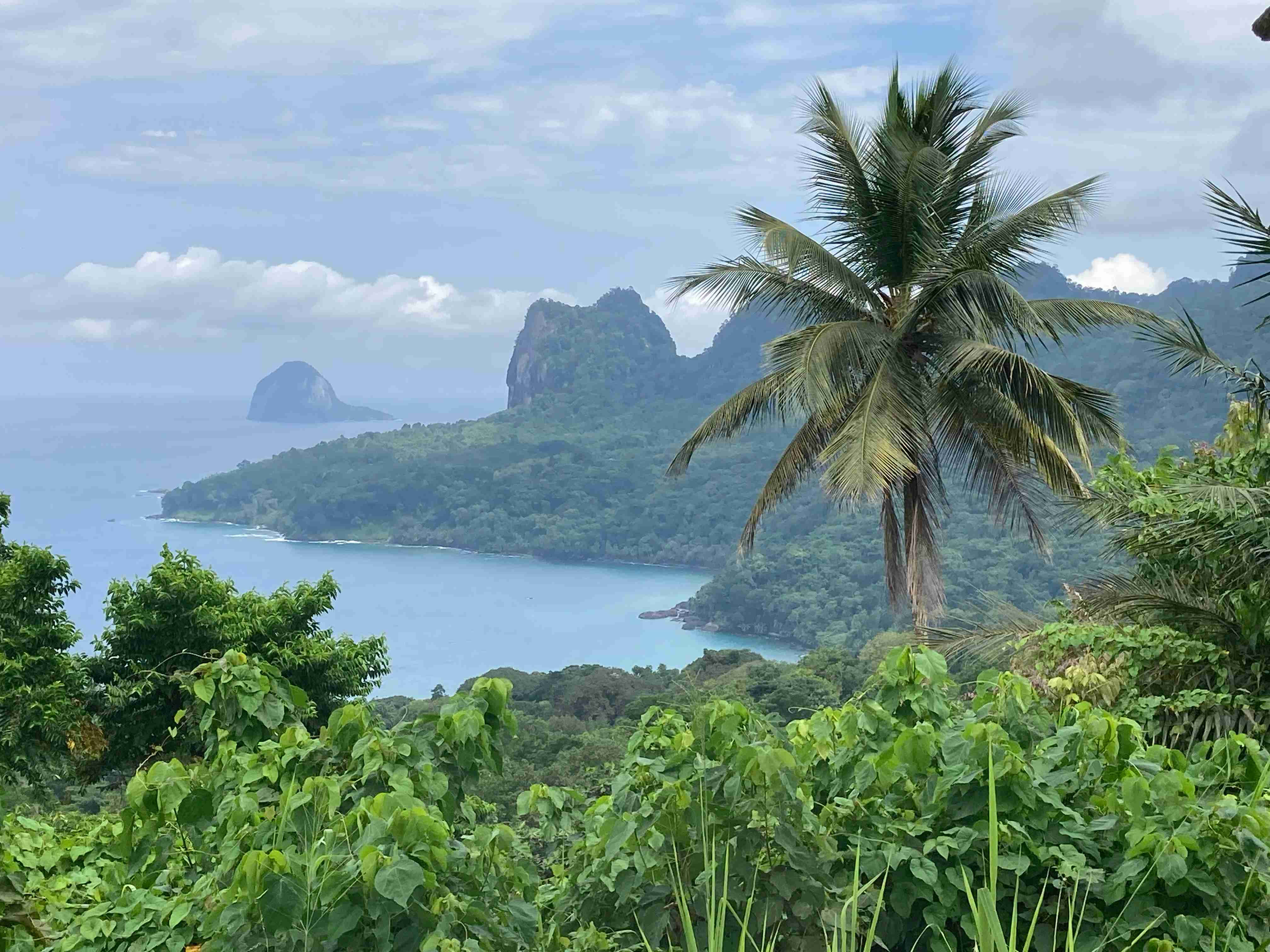 Sao Tome And Principe, palm tree, turquoise bay, 4K Desktop Wallpaper