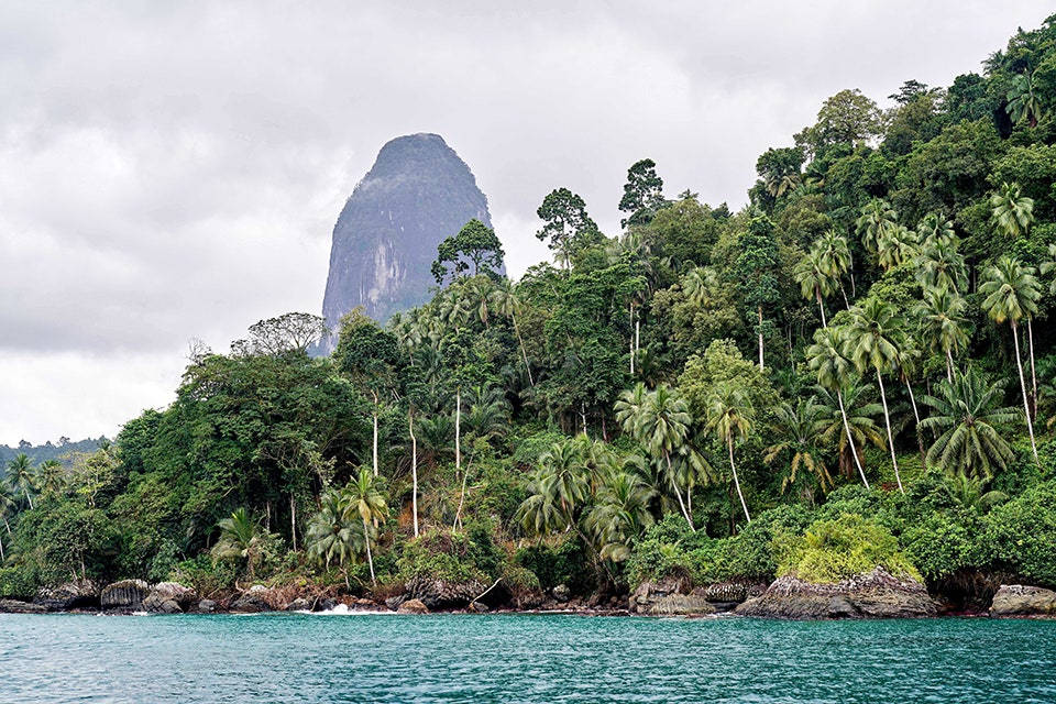 Sao Tome And Principe, palm forest, jungle-covered mountain, SD Desktop Wallpaper