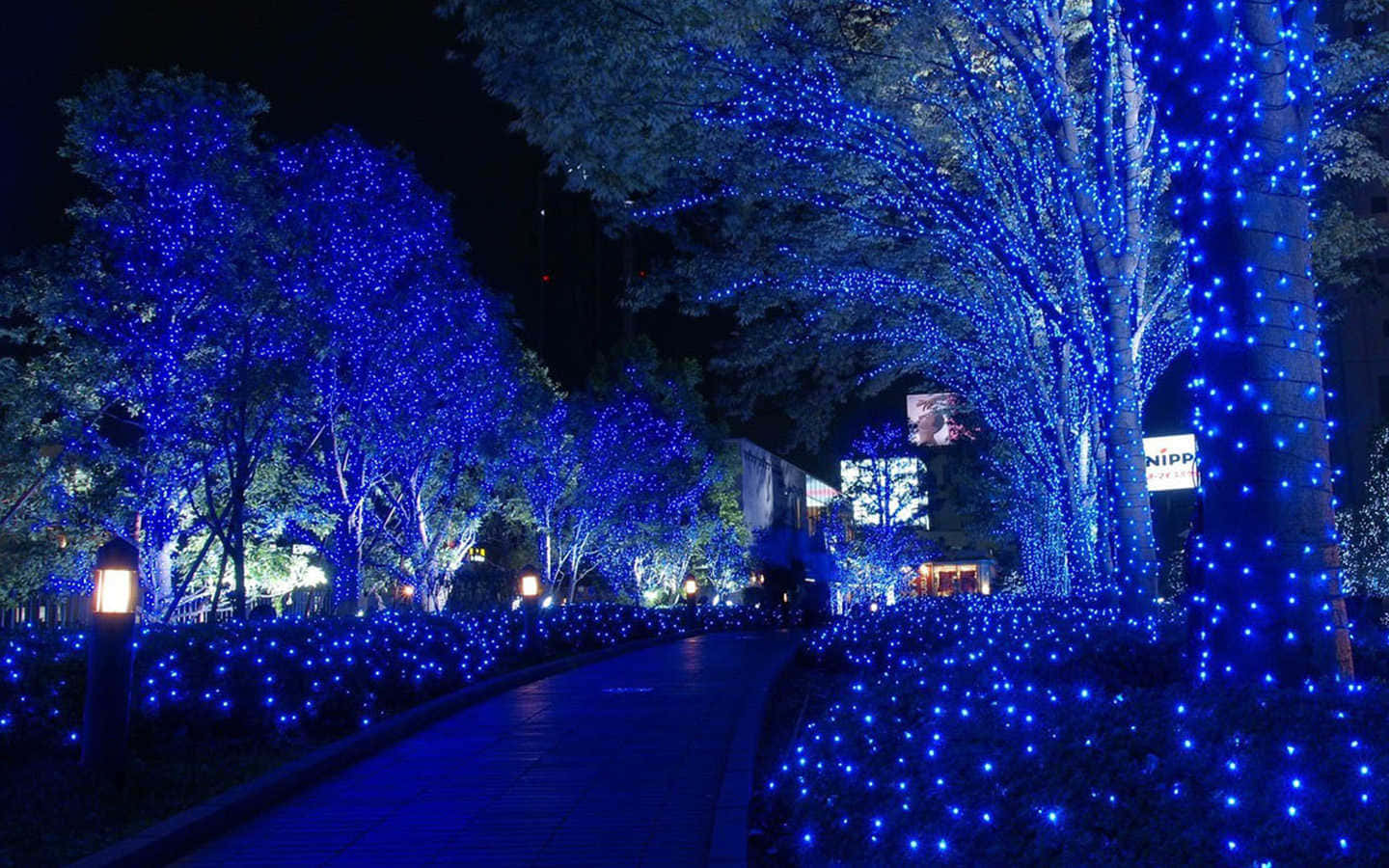 Sapphire Blue, nighttime pathway, trees, HD Desktop Wallpaper