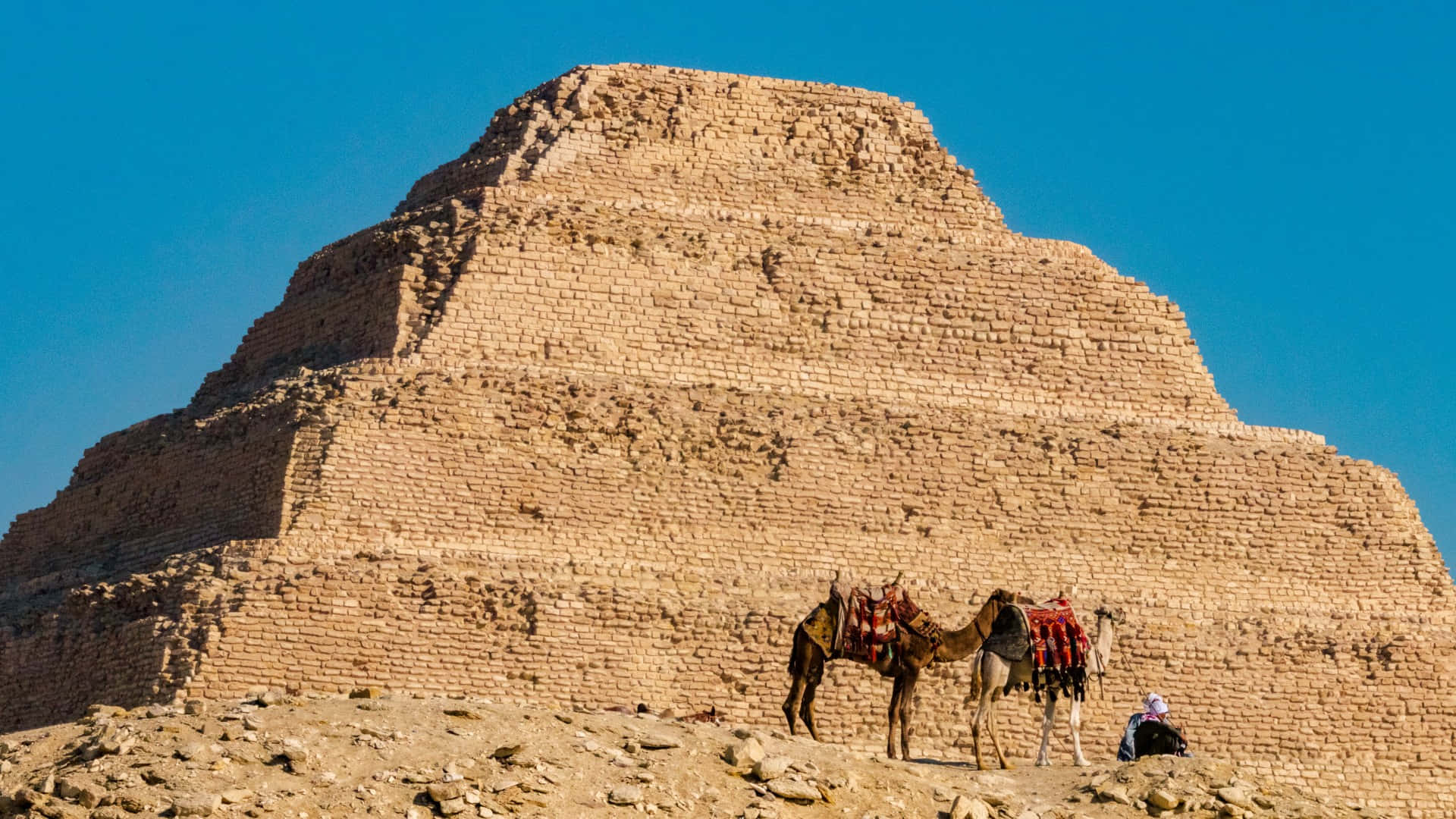 Saqqara Pyramid, camels, desert, Full HD Desktop Wallpaper