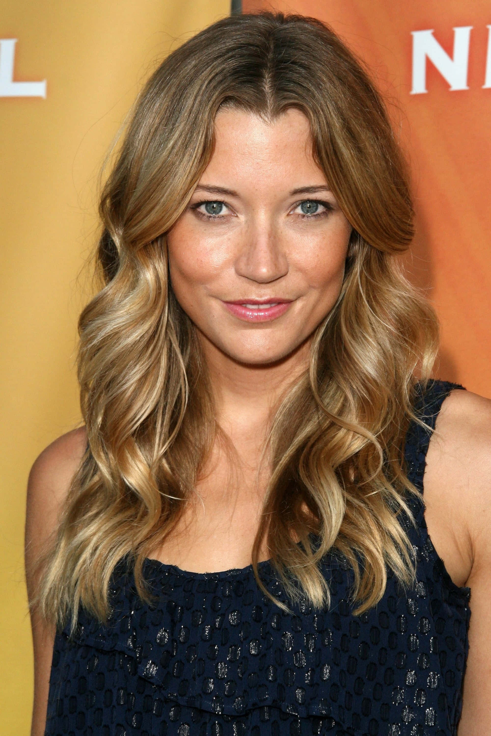 Sarah Roemer, dark blue textured dress, warm orange and yellow backdrop, 2K Phone Wallpaper