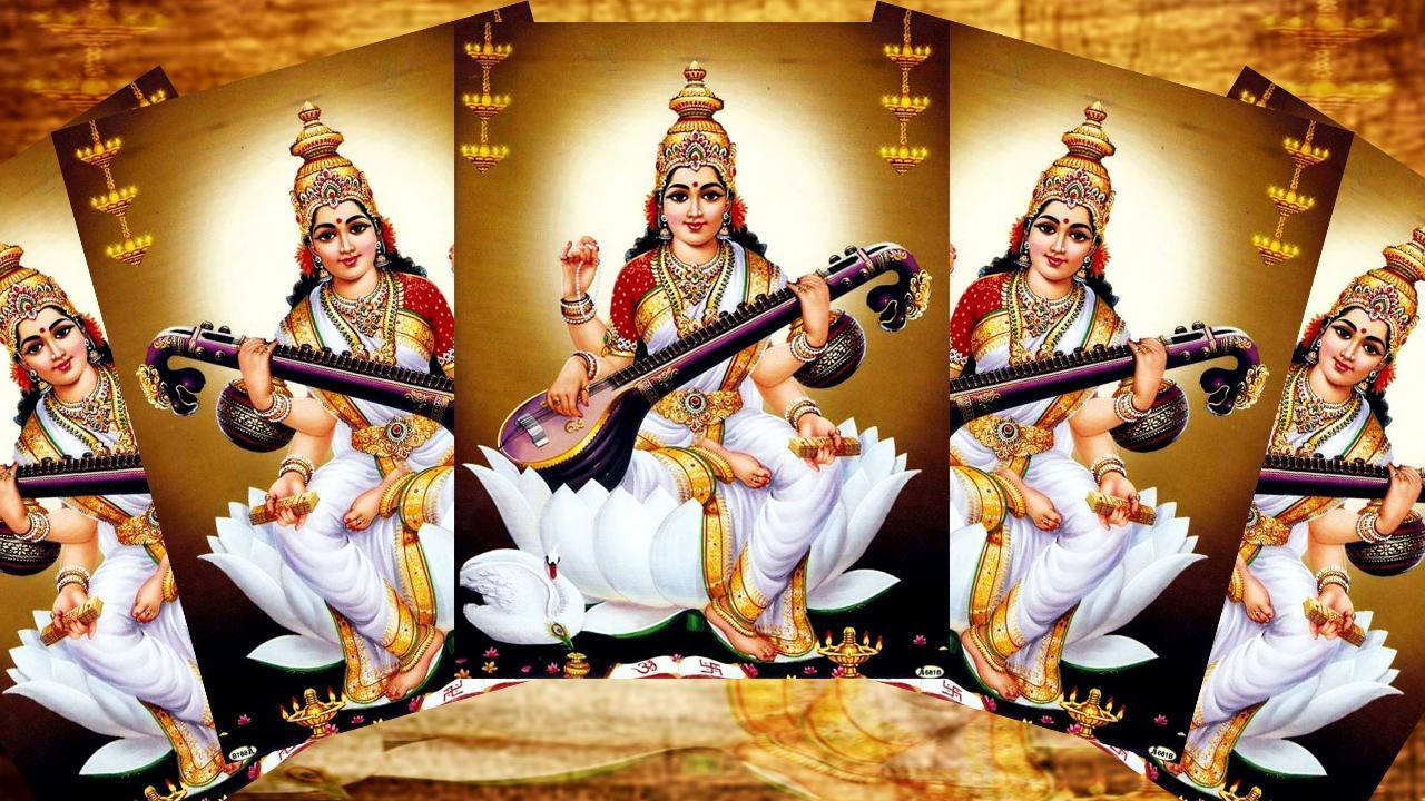 Saraswati Mata, white lotus, stringed instrument, HD Desktop Wallpaper