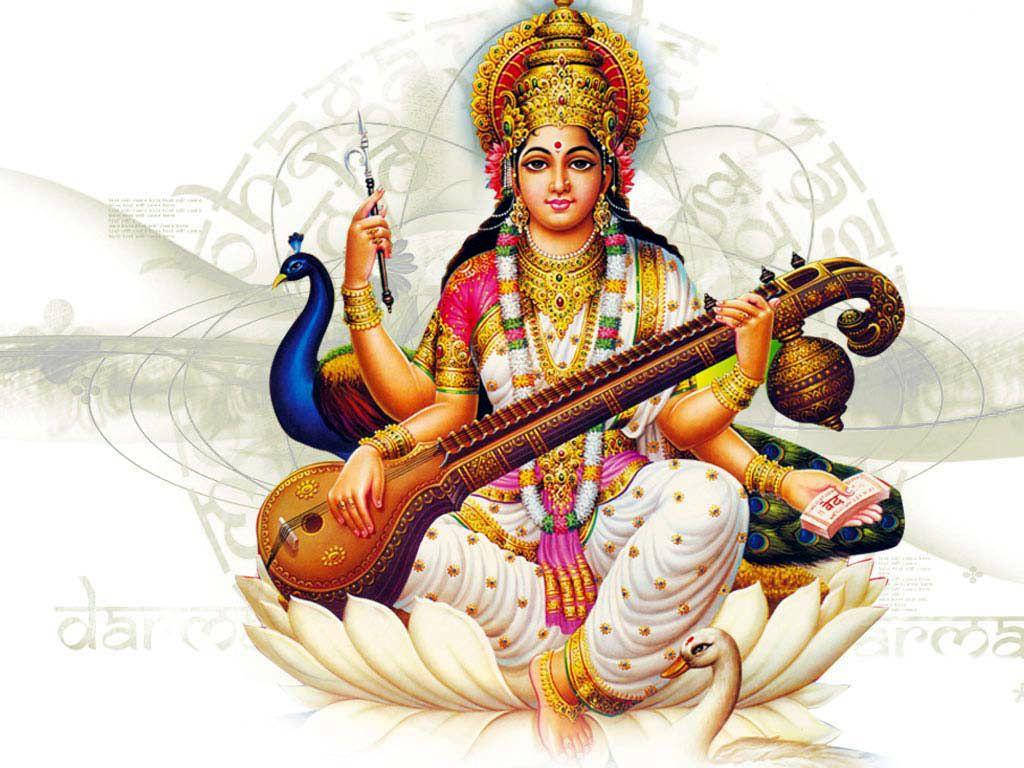 Saraswati, golden jewelry, colorful garments, SD Desktop Wallpaper