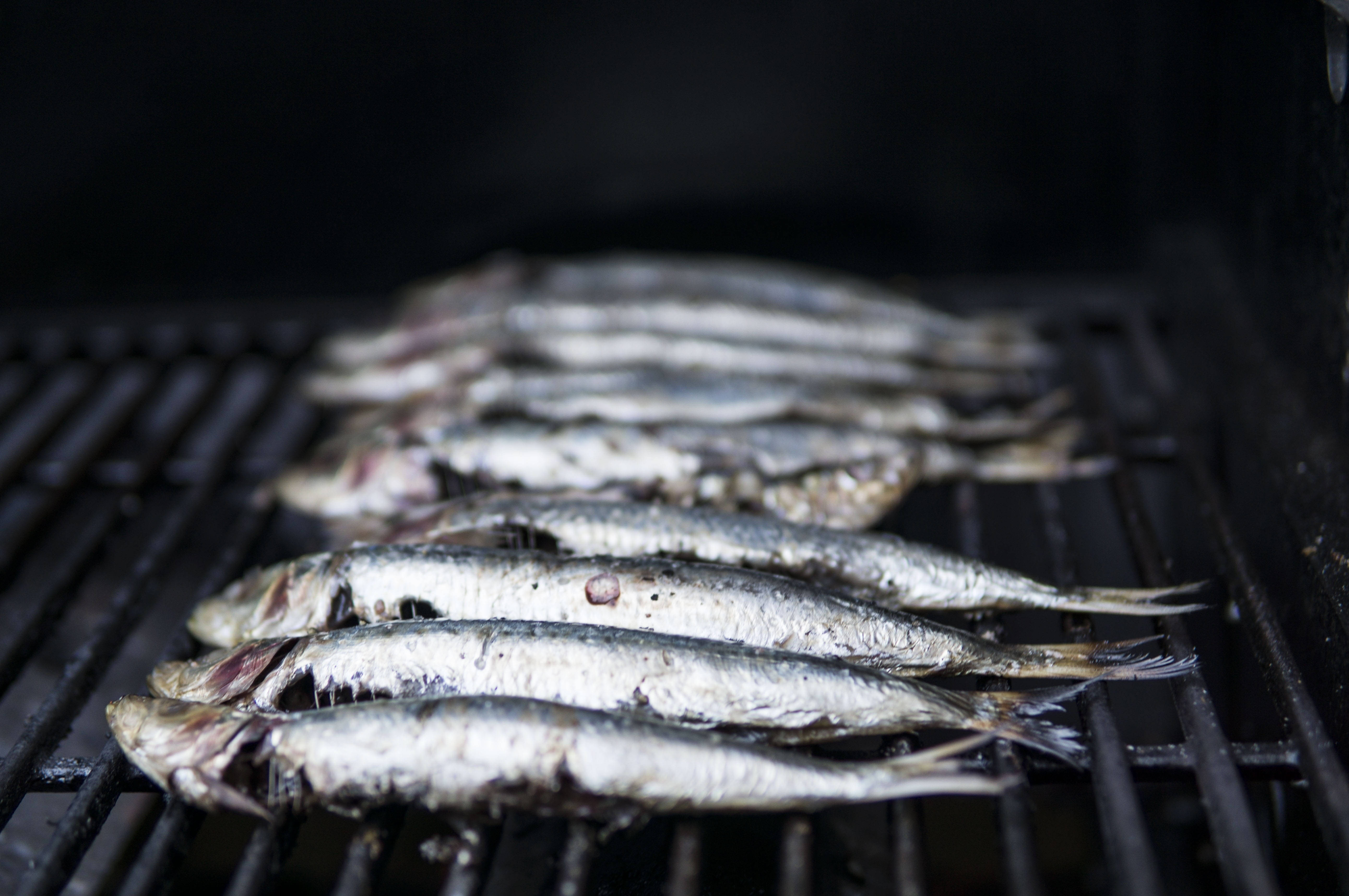 grilled sardines, silver sardines, dark grill grate, 5K Desktop Wallpaper