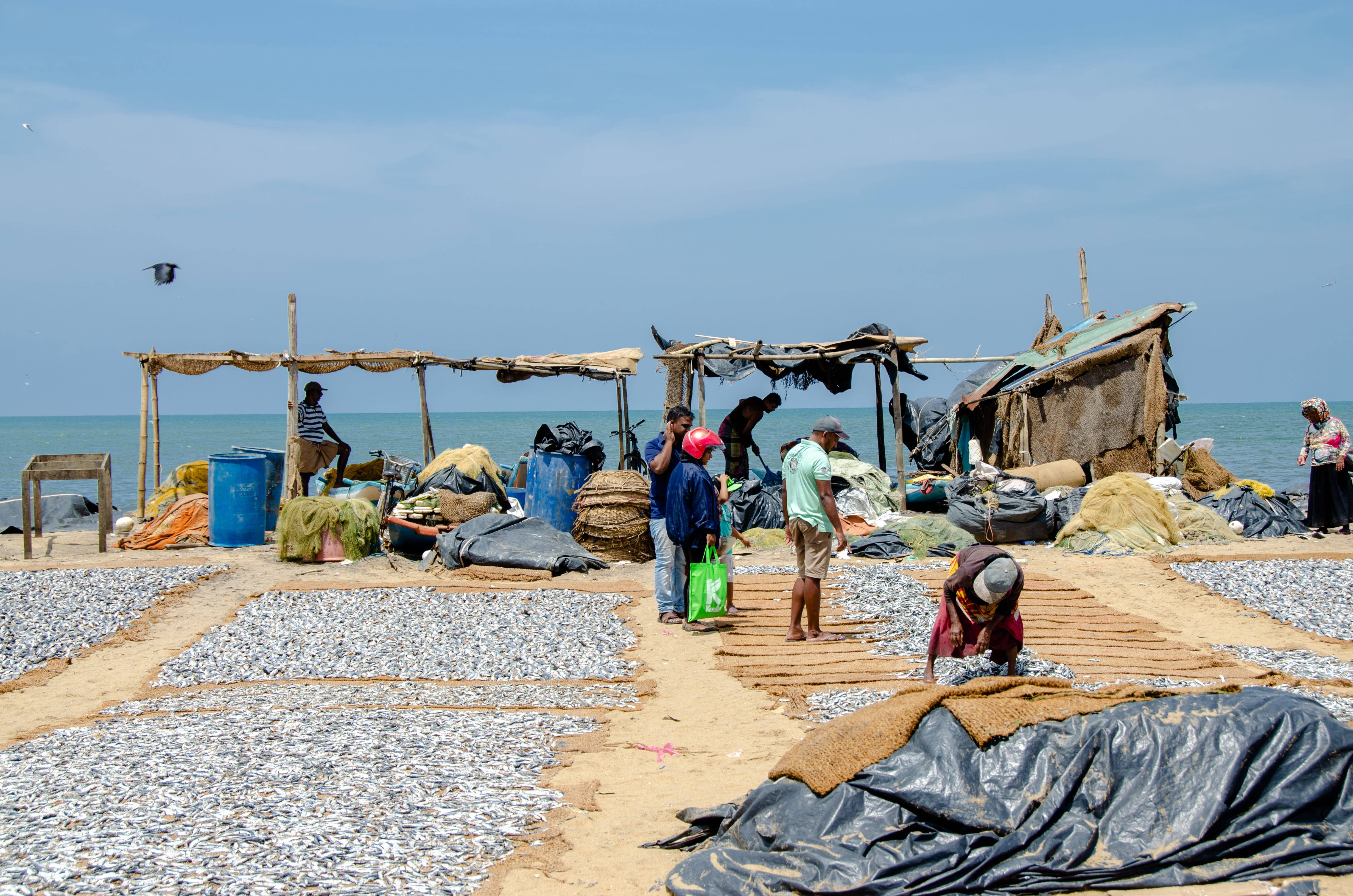 sardines, sandy beach, mats, 4K Desktop Wallpaper