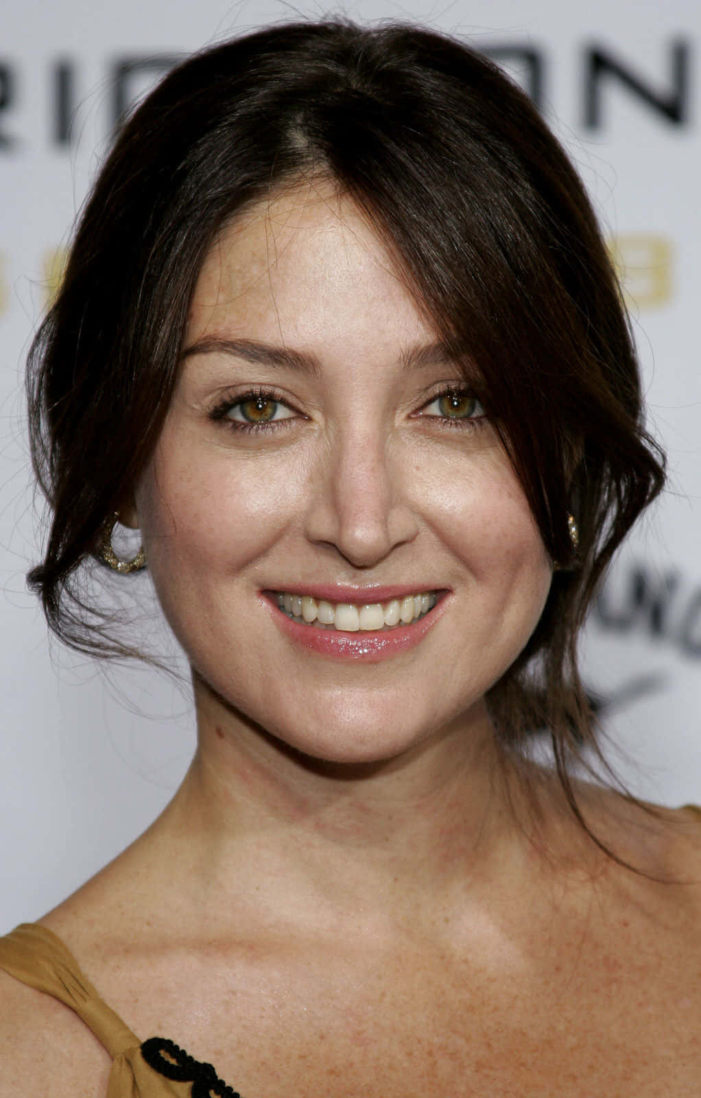 Sasha Alexander, red carpet event, dark hair, HD Phone Wallpaper