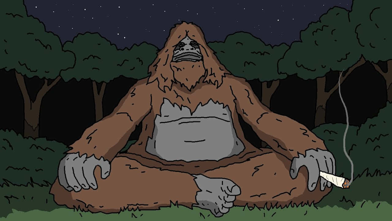 Sassy Sasquatch, nighttime, forest, HD Desktop Wallpaper