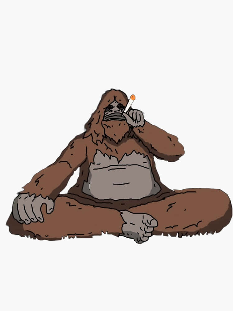 Sassy The Sasquatch, brown, bigfoot, SD Phone Wallpaper
