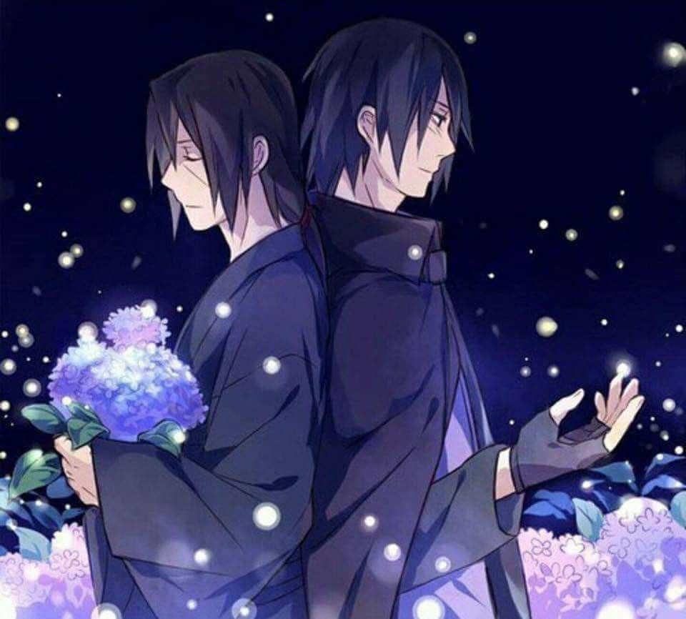 Sasuke And Itachi, starry night sky, purple hydrangeas, SD Desktop Wallpaper