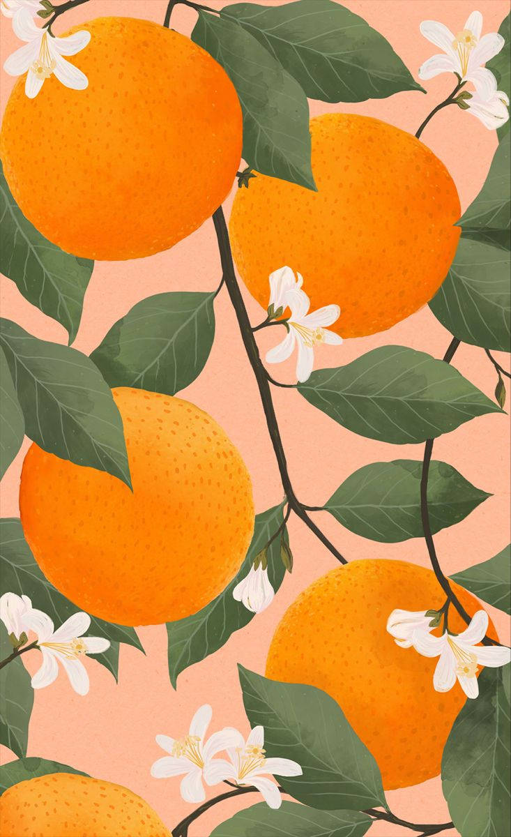 Satsuma, mandarin, orange fruits, SD Phone Wallpaper