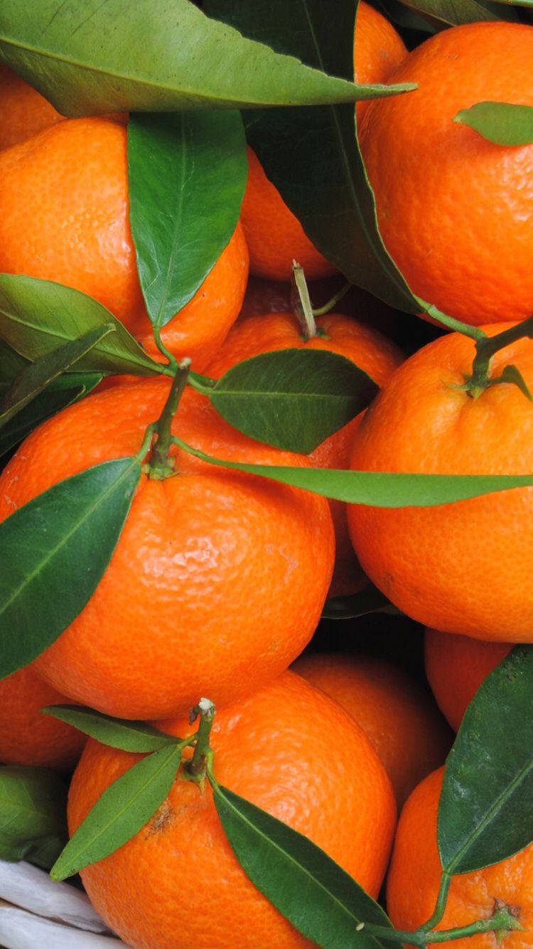 Satsuma, mandarin fruit, glossy skin, HD Phone Wallpaper