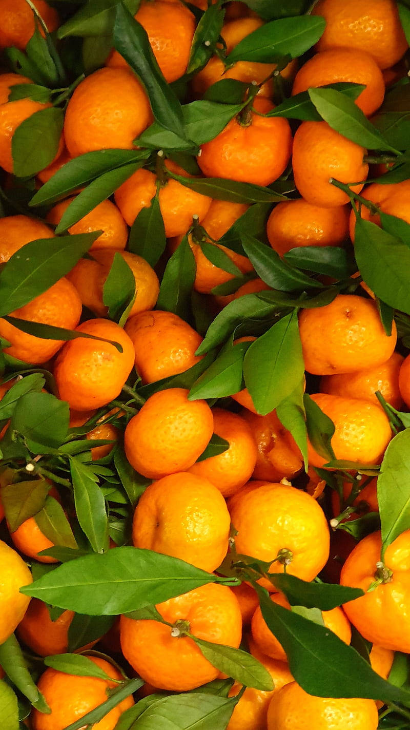 Satsuma, mandarin, sweet orange, HD Phone Wallpaper