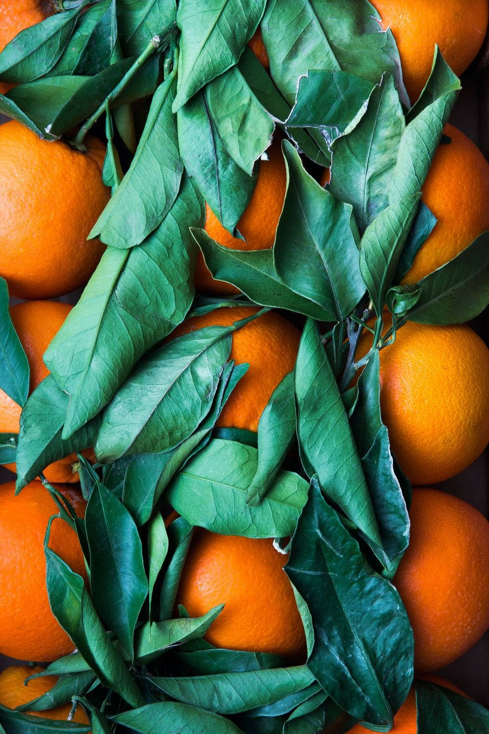 Satsuma, mandarin, leaves, HD Phone Wallpaper