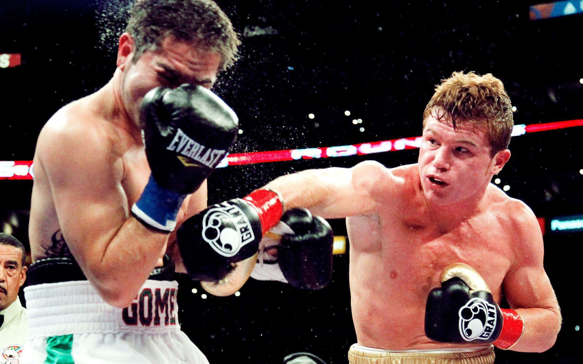 Saul Canelo Alvarez, boxing ring, powerful punch, Full HD Desktop Wallpaper
