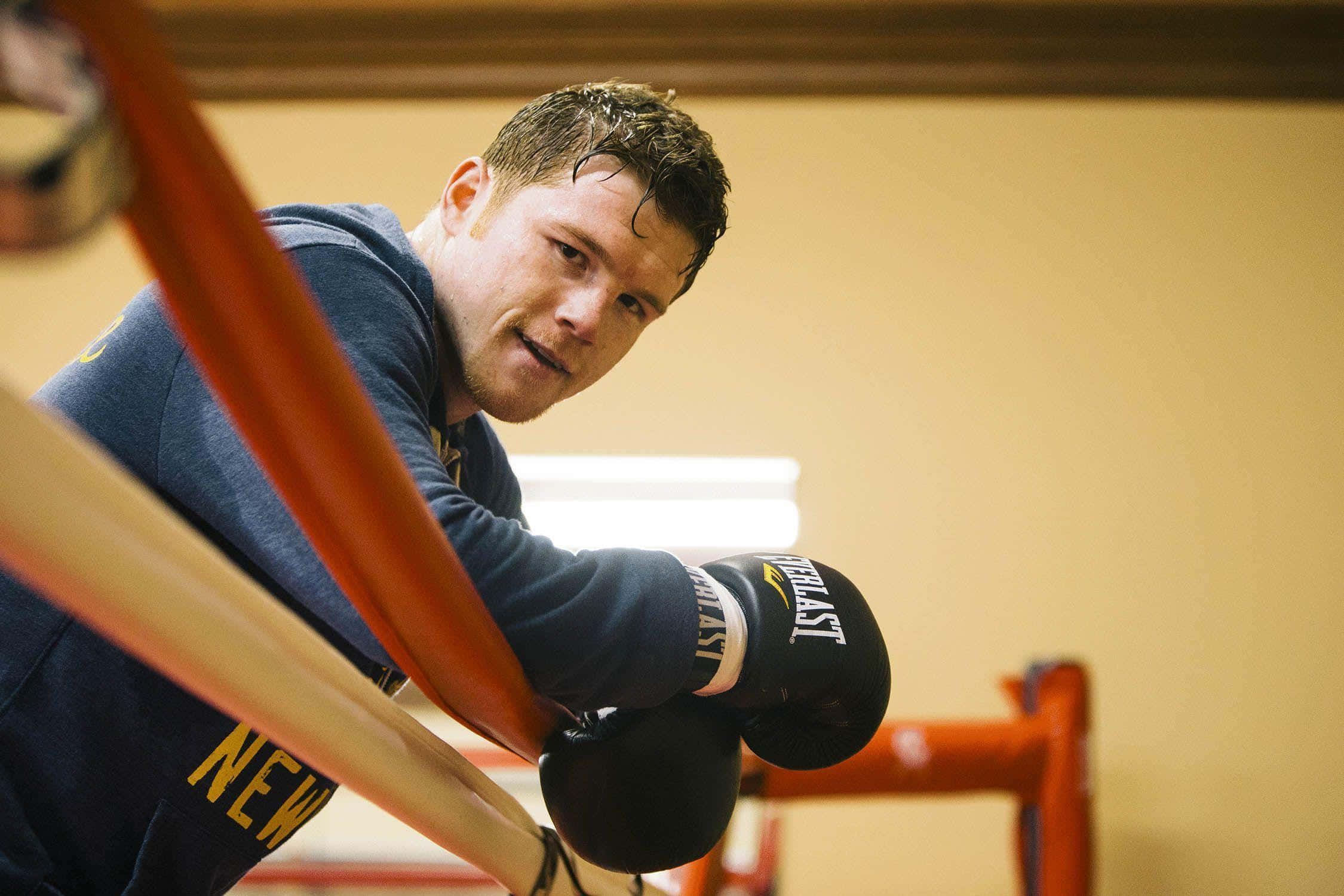 Saul Canelo Alvarez, black gloves, red ring rope, Full HD Desktop Wallpaper