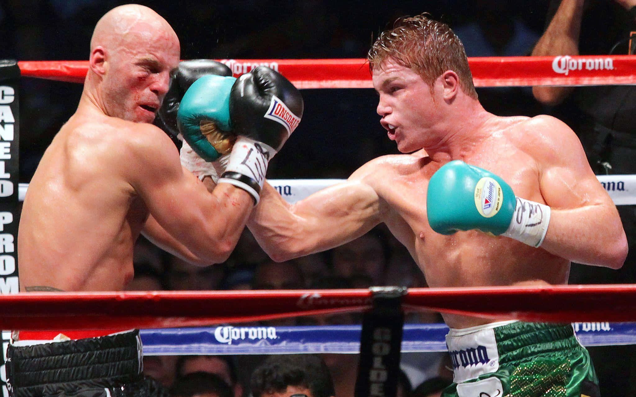 Saul Canelo Alvarez, ring fight, bright arena lights, Full HD Desktop Wallpaper