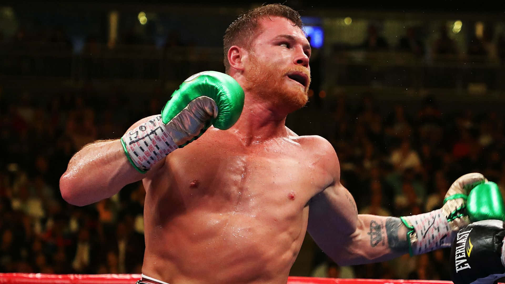 Saul Canelo Alvarez, green gloves, brightly lit ring, Full HD Desktop Wallpaper