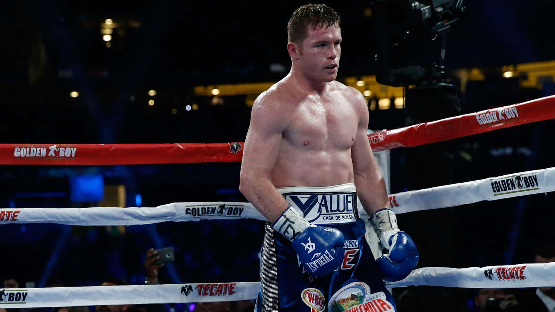 Saul Canelo Alvarez, blue boxing gloves, brightly lit ring, Full HD Desktop Wallpaper