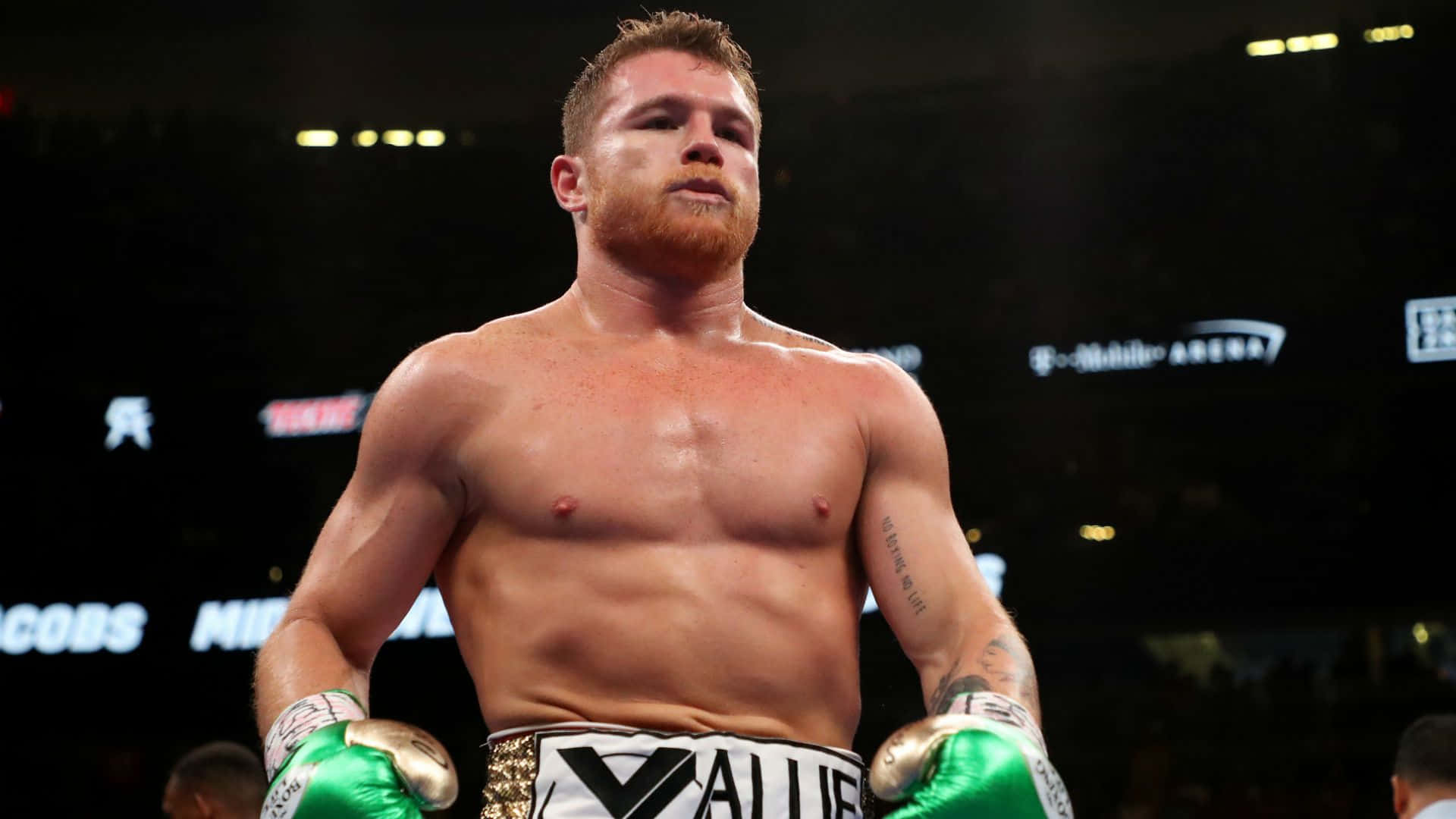 Saul Canelo Alvarez, boxing champion, red beard, Full HD Desktop Wallpaper