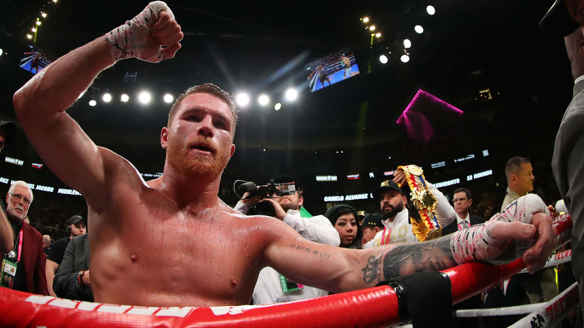 Saul Canelo Alvarez, boxing champion, fist in triumph, Full HD Desktop Wallpaper