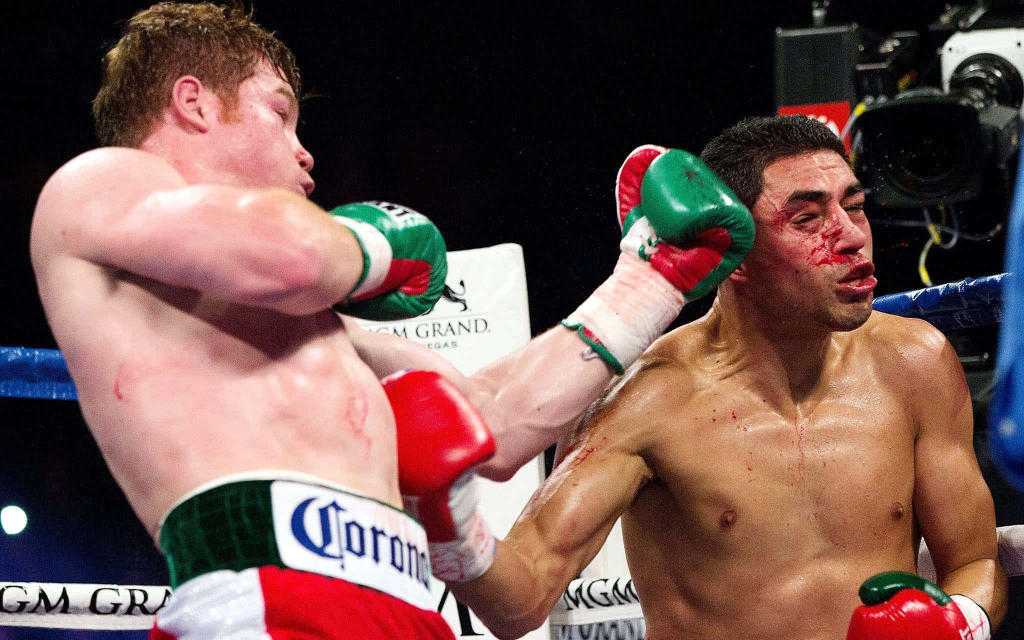 Saul Canelo Alvarez, uppercut, boxing star, Full HD Desktop Wallpaper