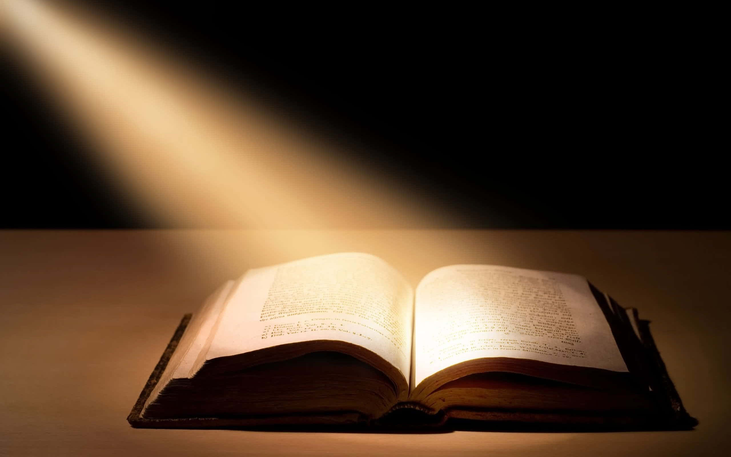 Savior, warm light, open book, 2K Desktop Wallpaper