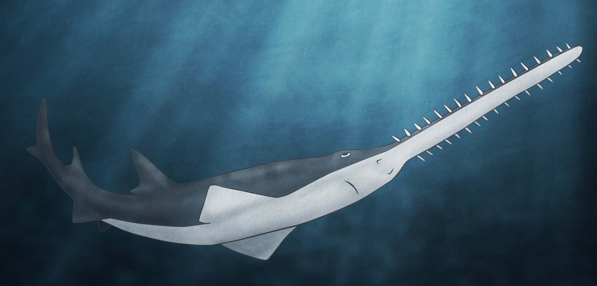 Sawfish, underwater, deep blue ocean water, Full HD Desktop Wallpaper