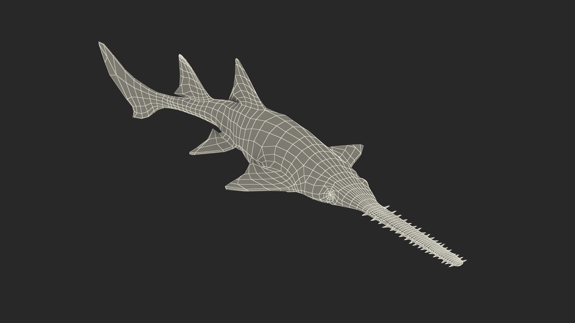 Sawfish, wireframe model, light gray, Full HD Desktop Wallpaper