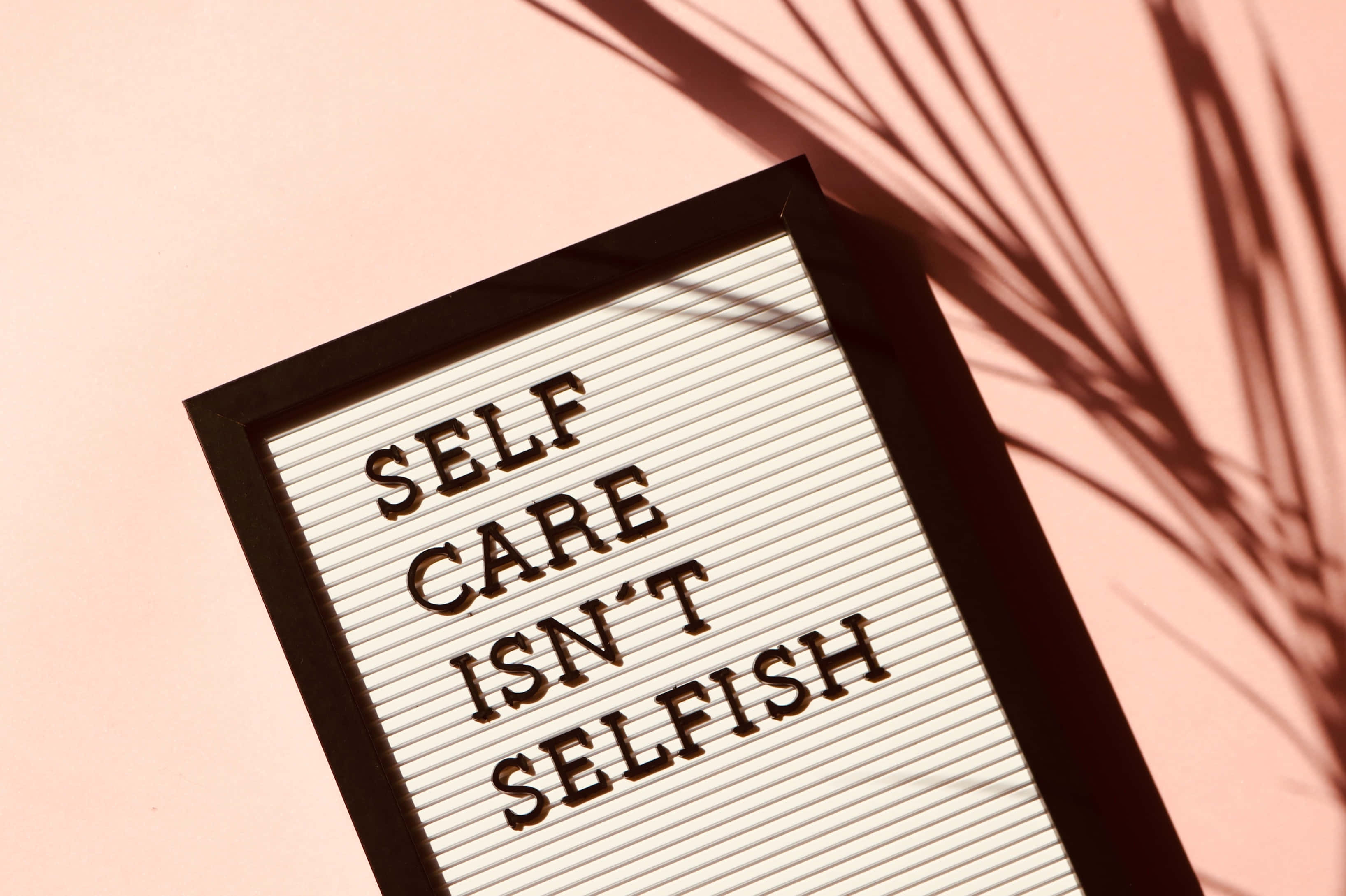 Saying, self care isn't selfish, palm leaf shadow, 2K Desktop Wallpaper