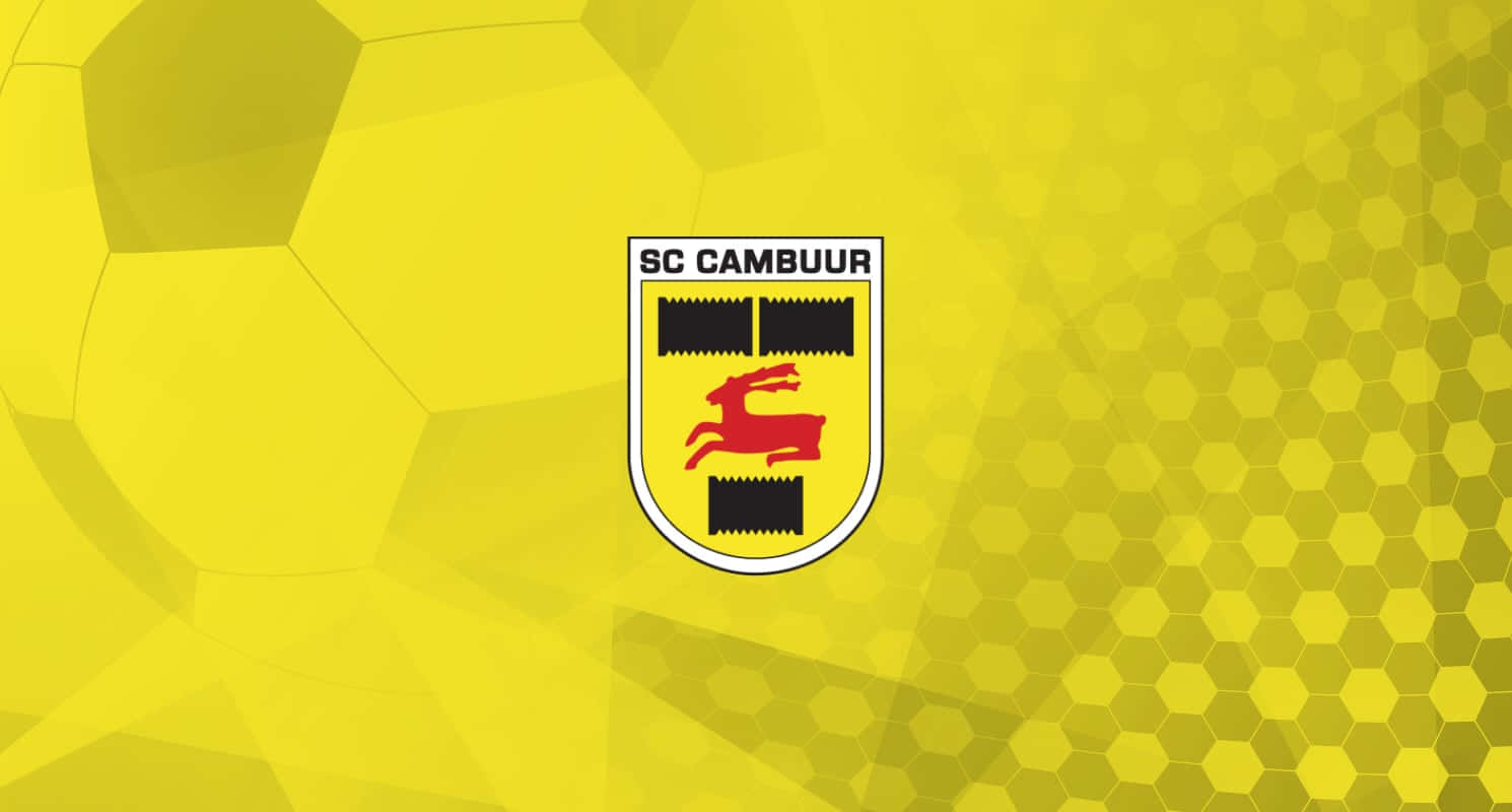 SC Cambuur, yellow wallpaper, red deer, HD Desktop Wallpaper