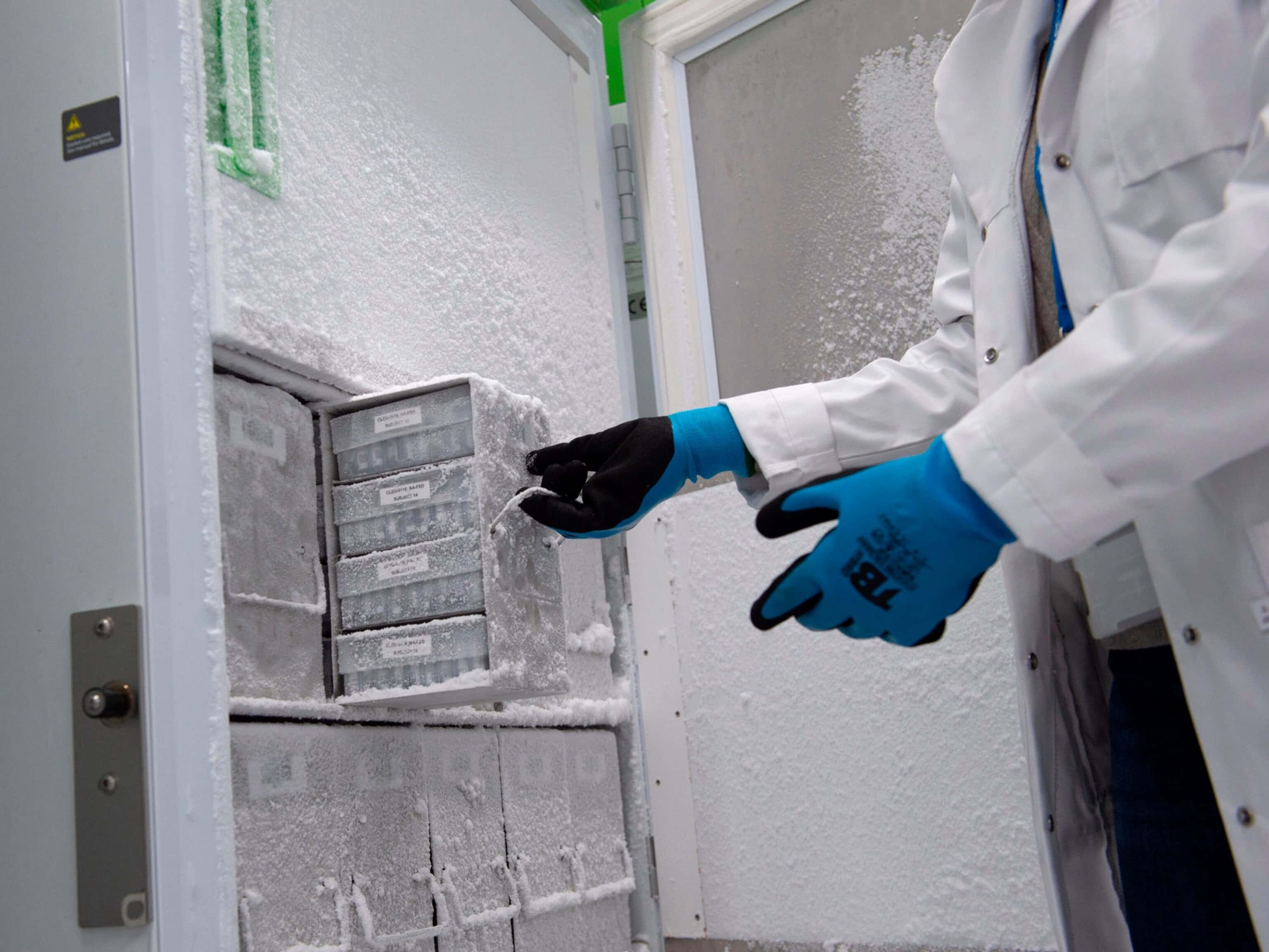 laboratory, icy freezer, ultra-low temperature freezer, 2K Desktop Wallpaper