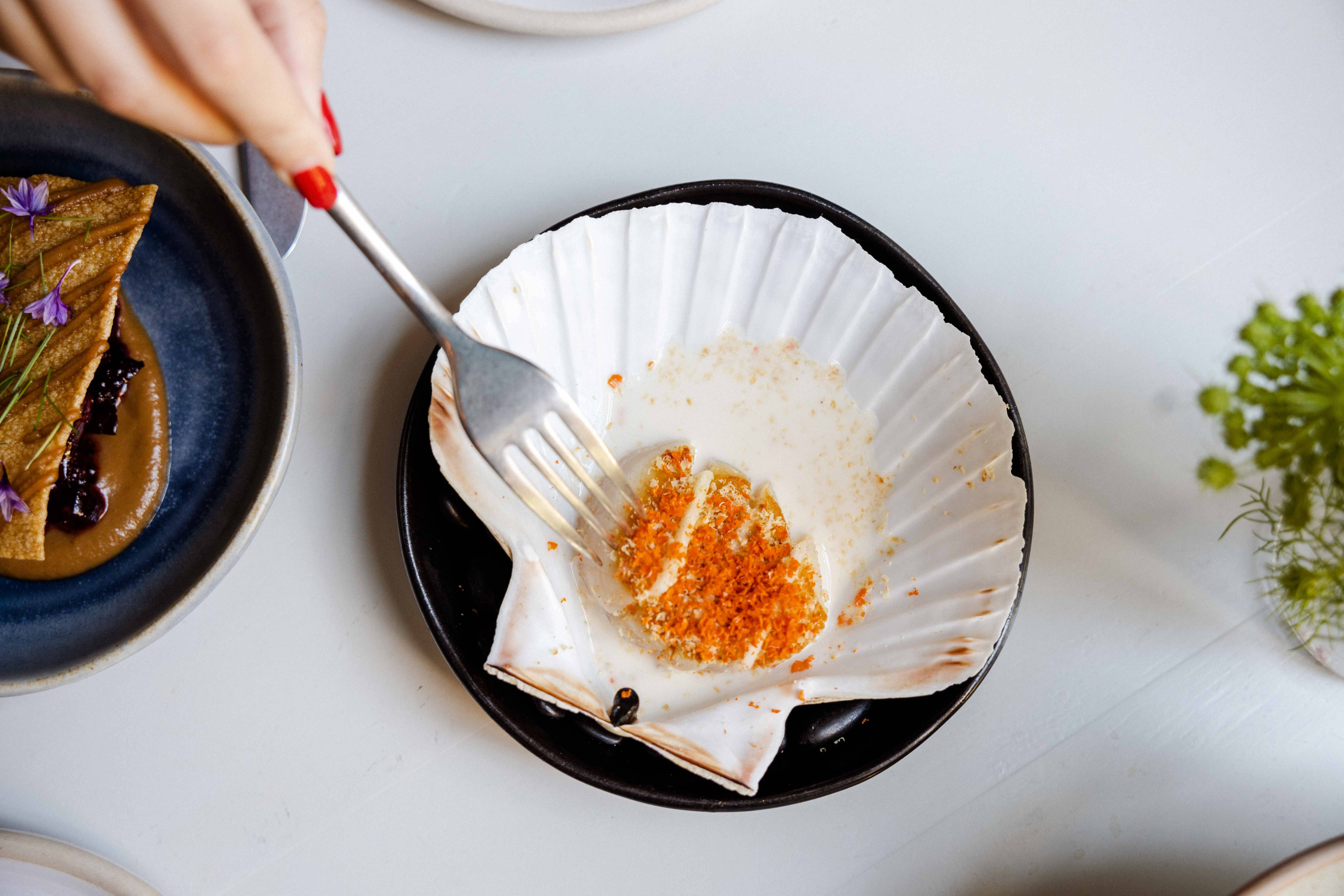 Scallops, dish shell, caviar, 5K Desktop Wallpaper