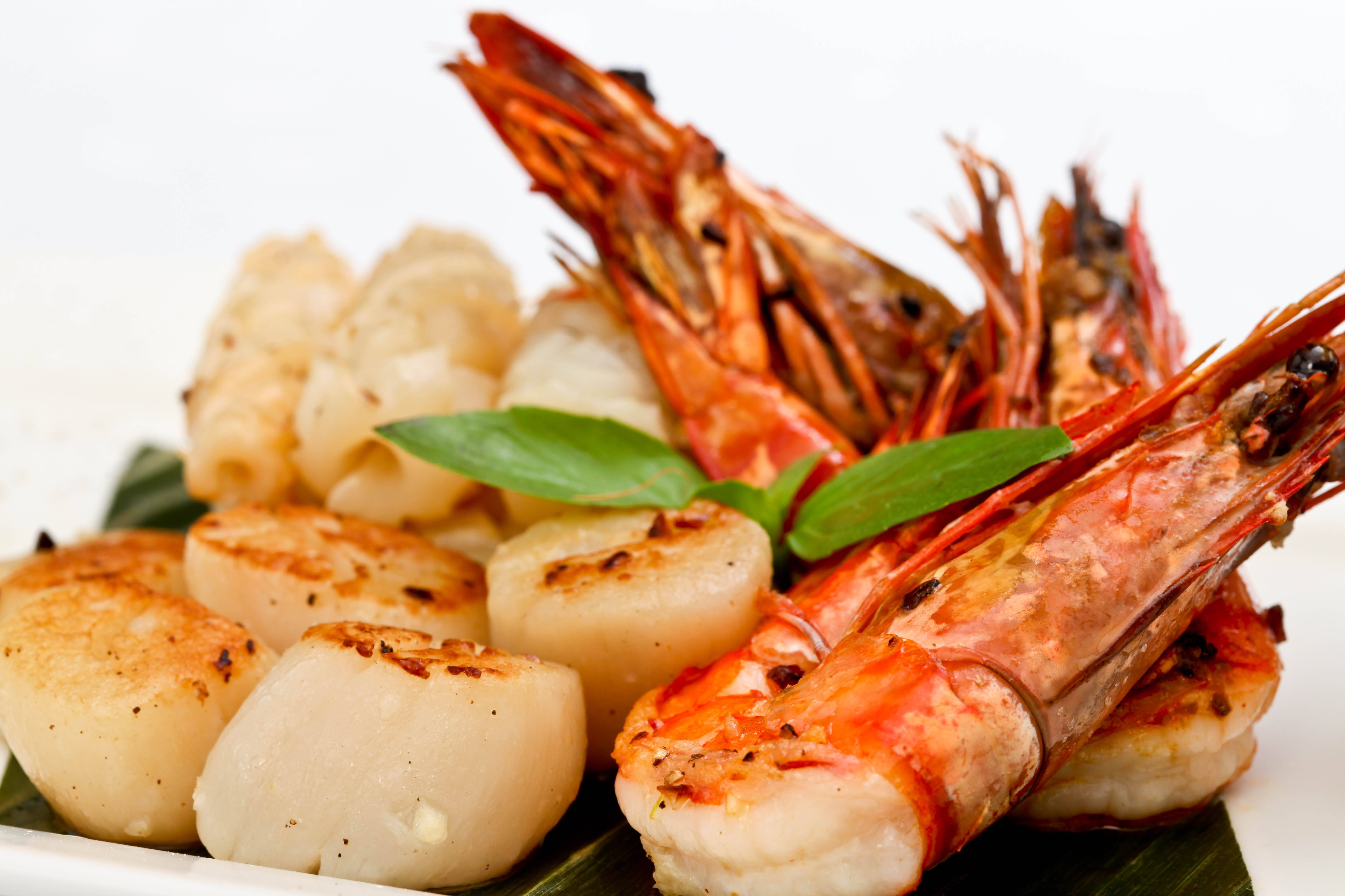 Scallops, Shrimp, Basil leaves, 5K Desktop Wallpaper