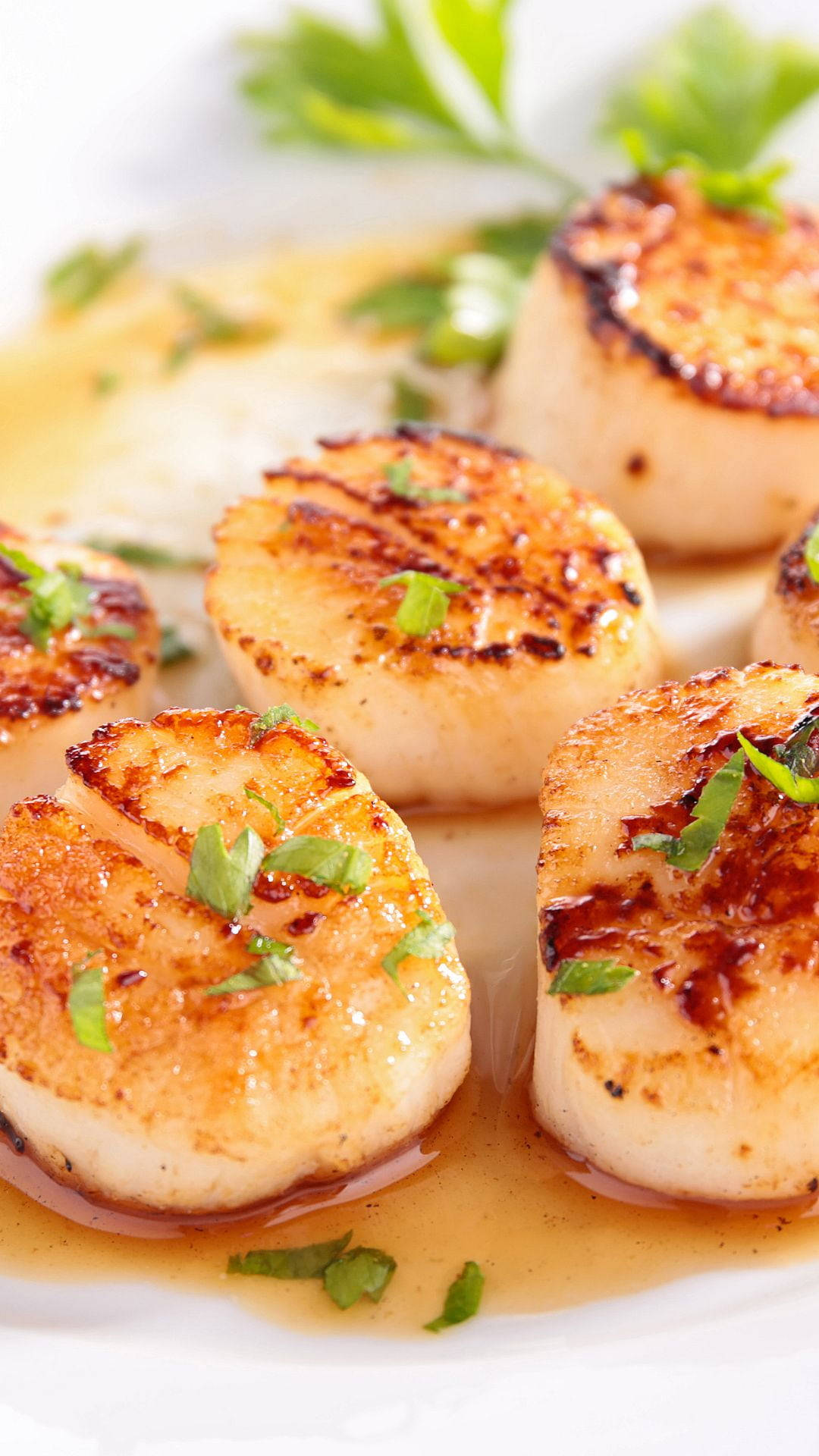 Scallops, seared, herbs, Full HD Phone Wallpaper