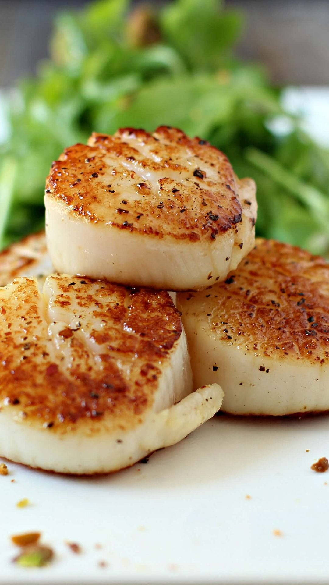 Scallops, seared, lettuce, Full HD Phone Wallpaper