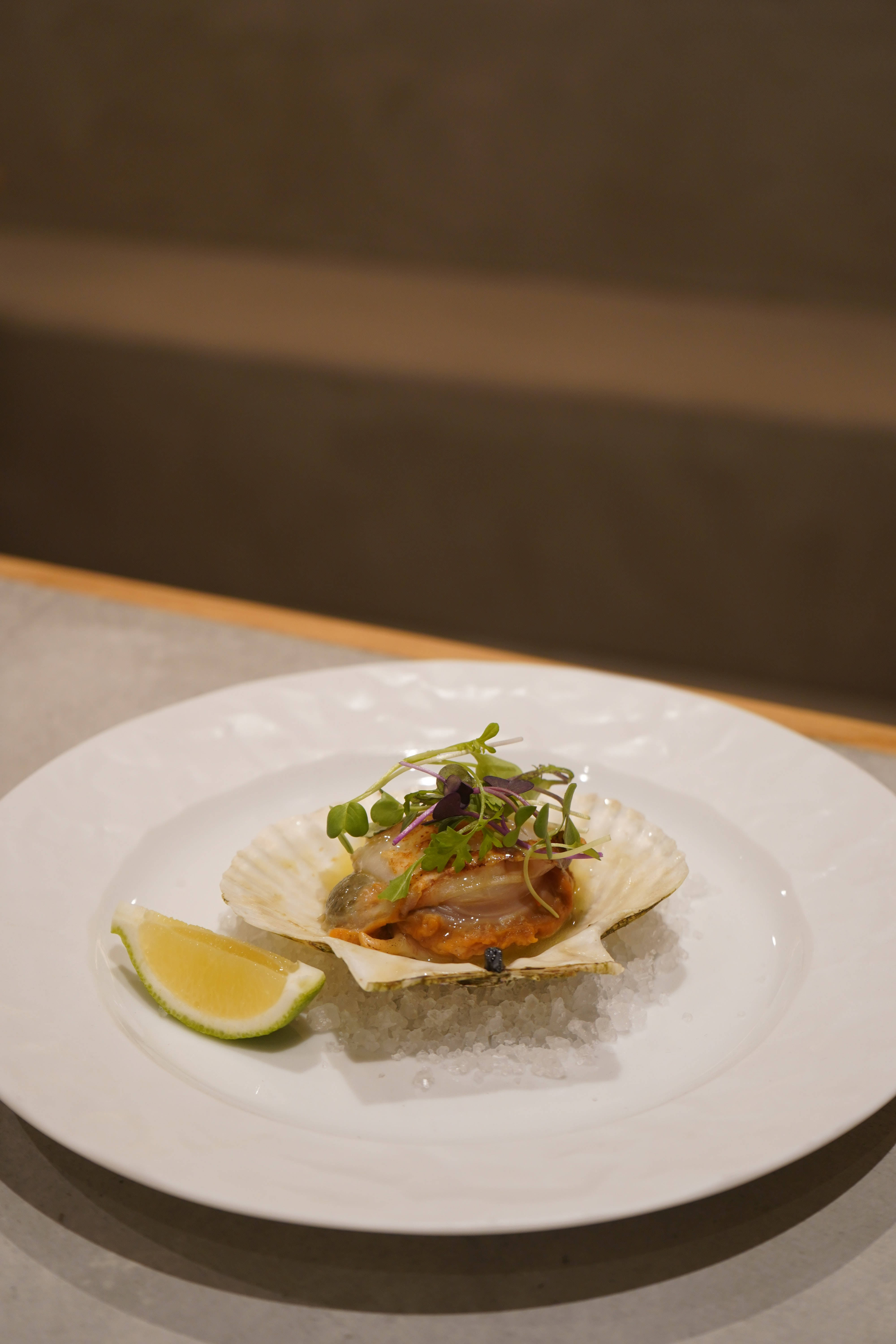 Scallops, shell, lime, 5K Phone Wallpaper